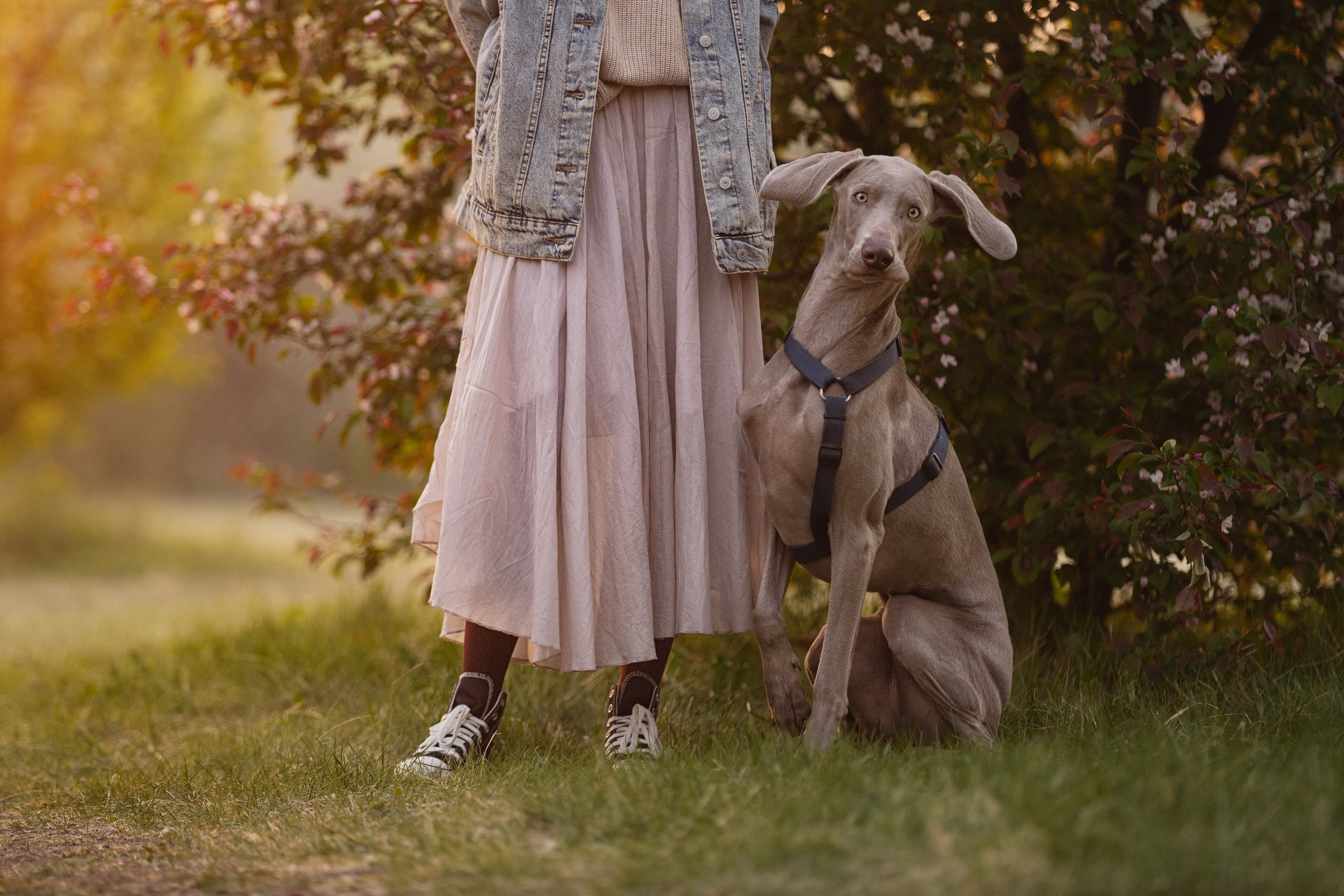 Даша и ее семья. Kameramotor74