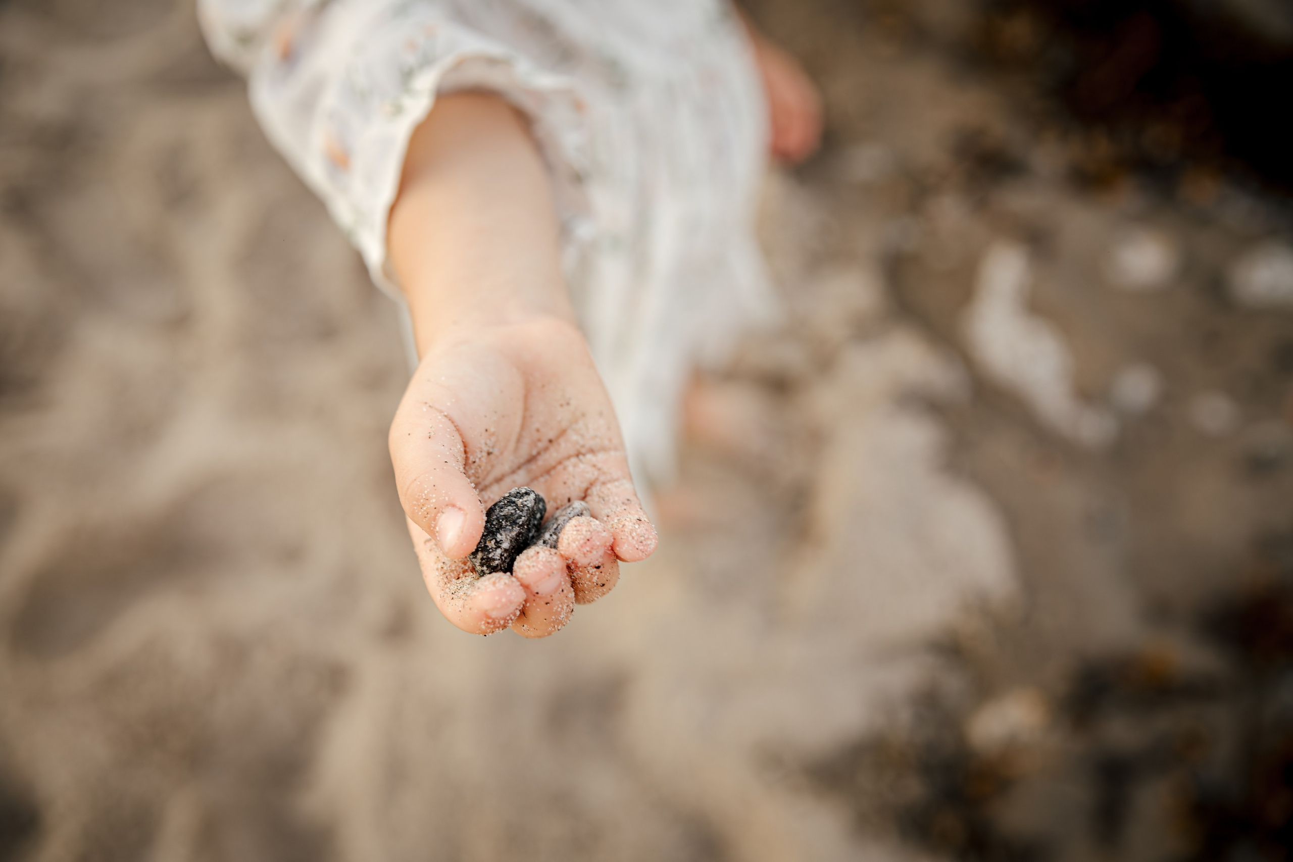 Семья Авраменко