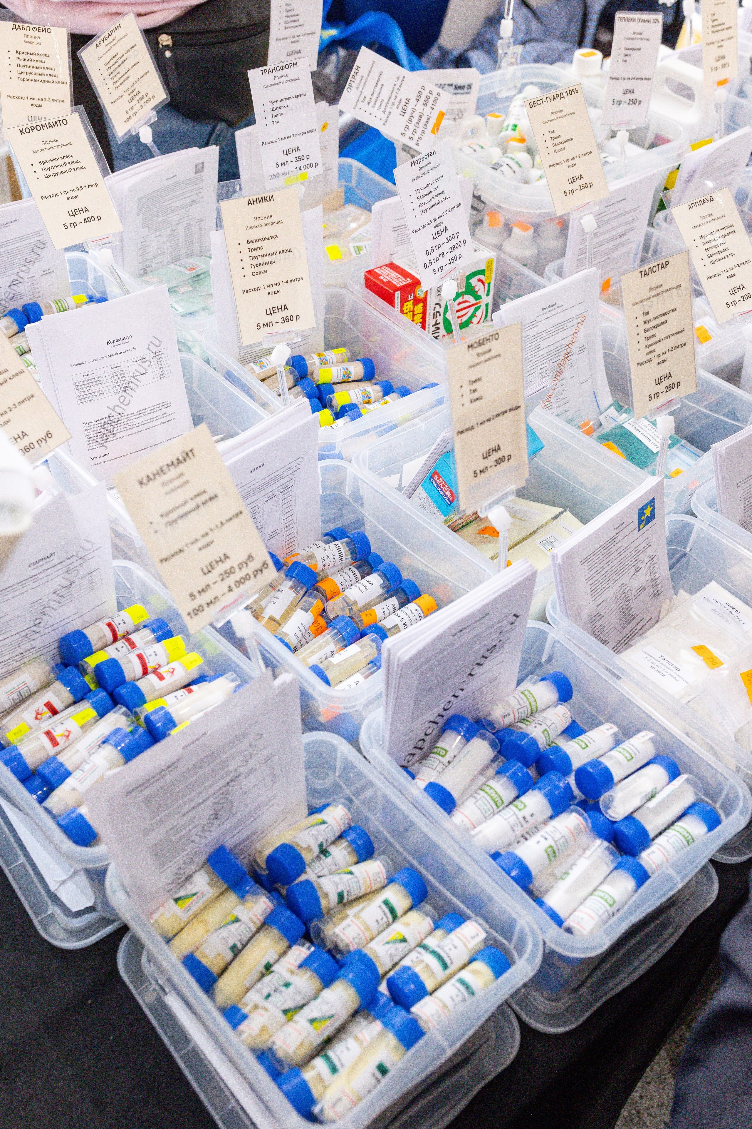 Монстериум 11–12 октября. Александра Куликова фотограф, Москва