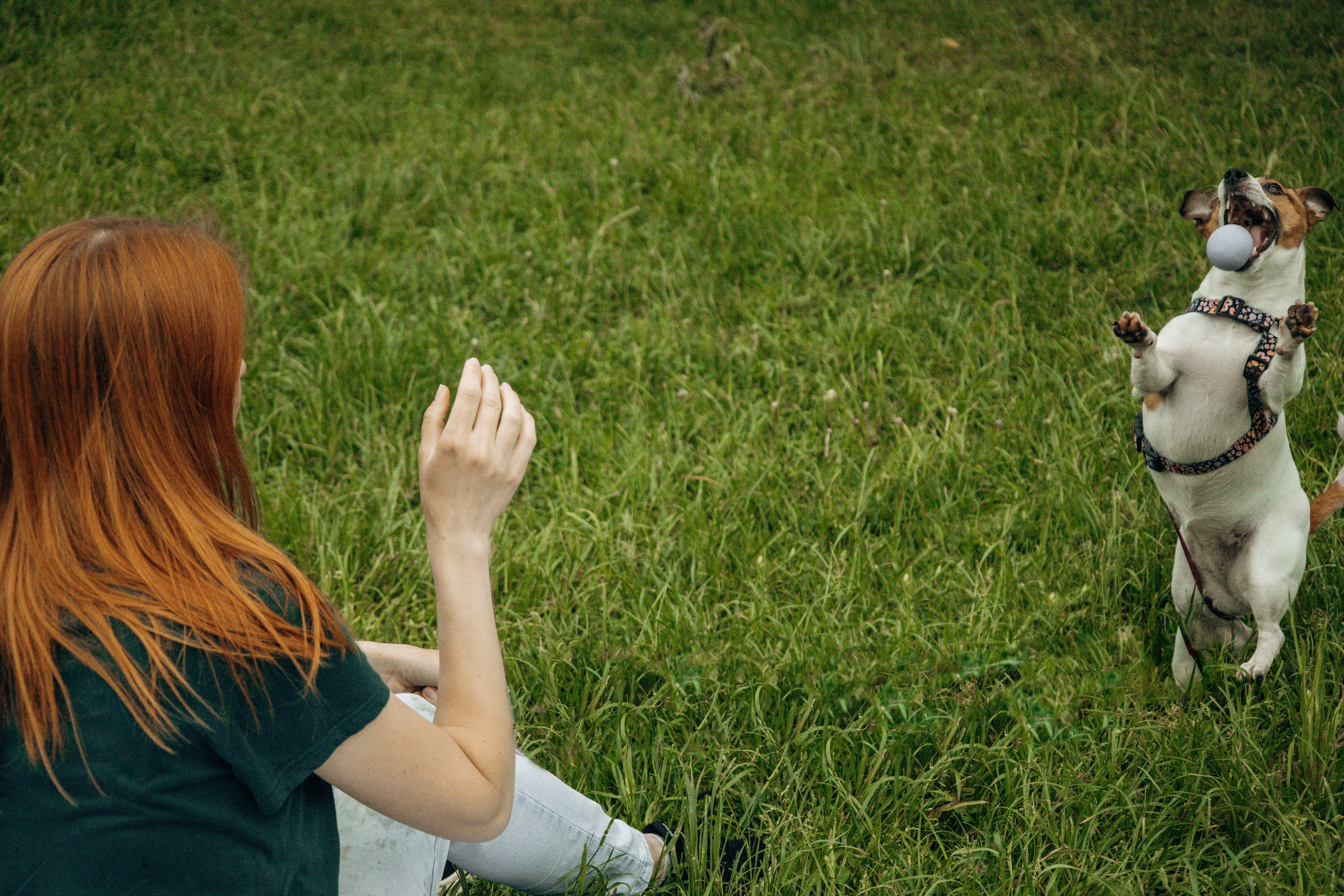 Моя маленькая спутница: Банни и Настя в Южнобутовском парке. Фотограф-анималист в Москве Екатерина Тихонова