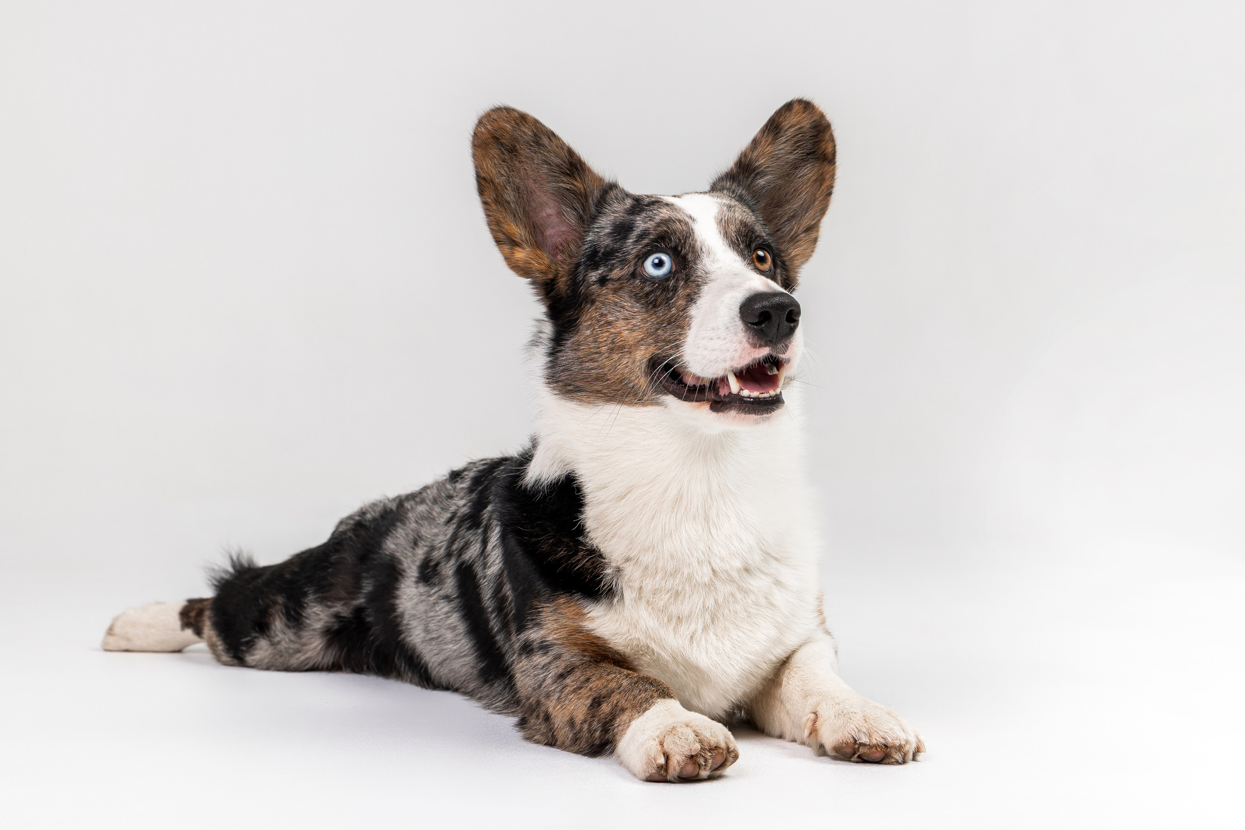 Анатолий и Рагнар