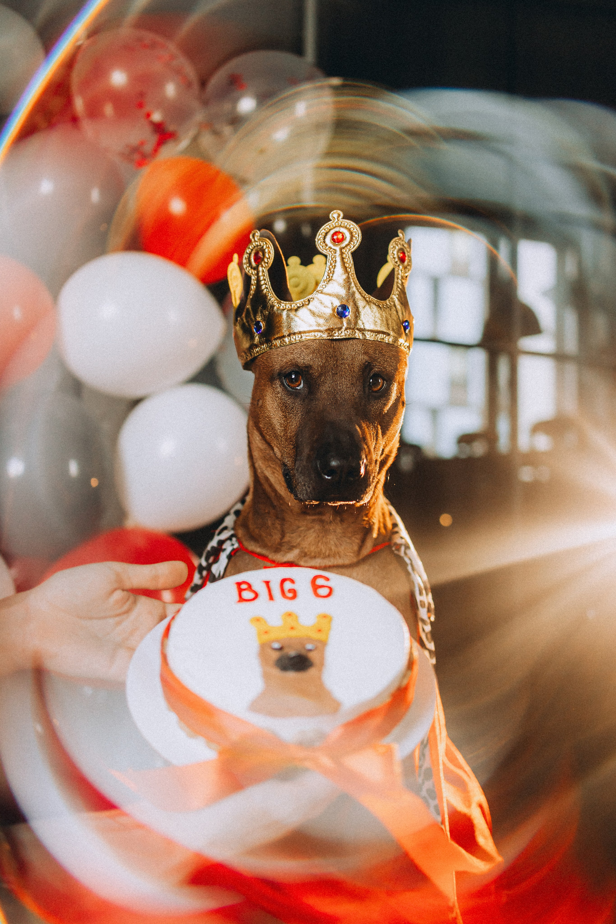 Оксана и Зевс