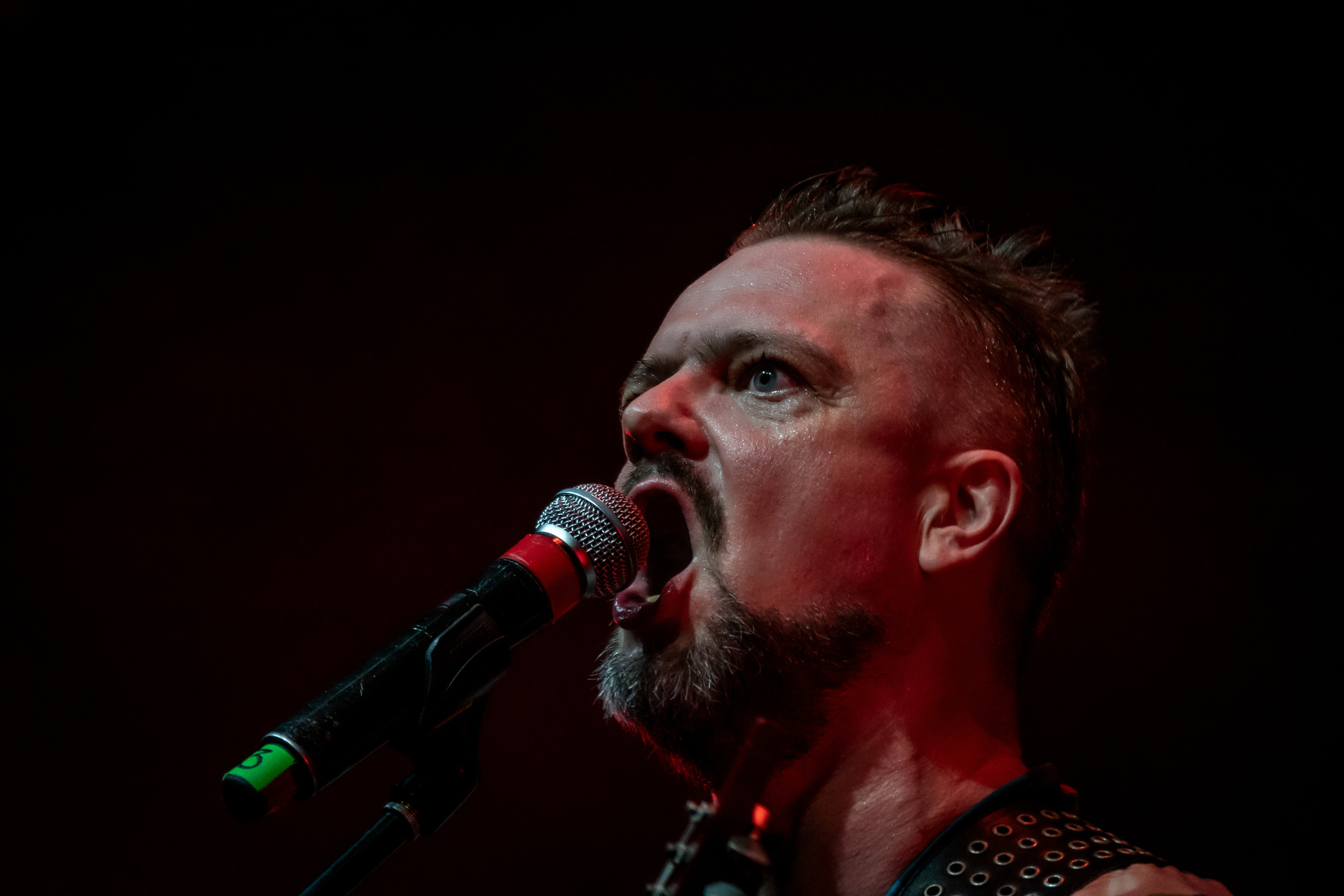 Александр Пушной концерт в Москве