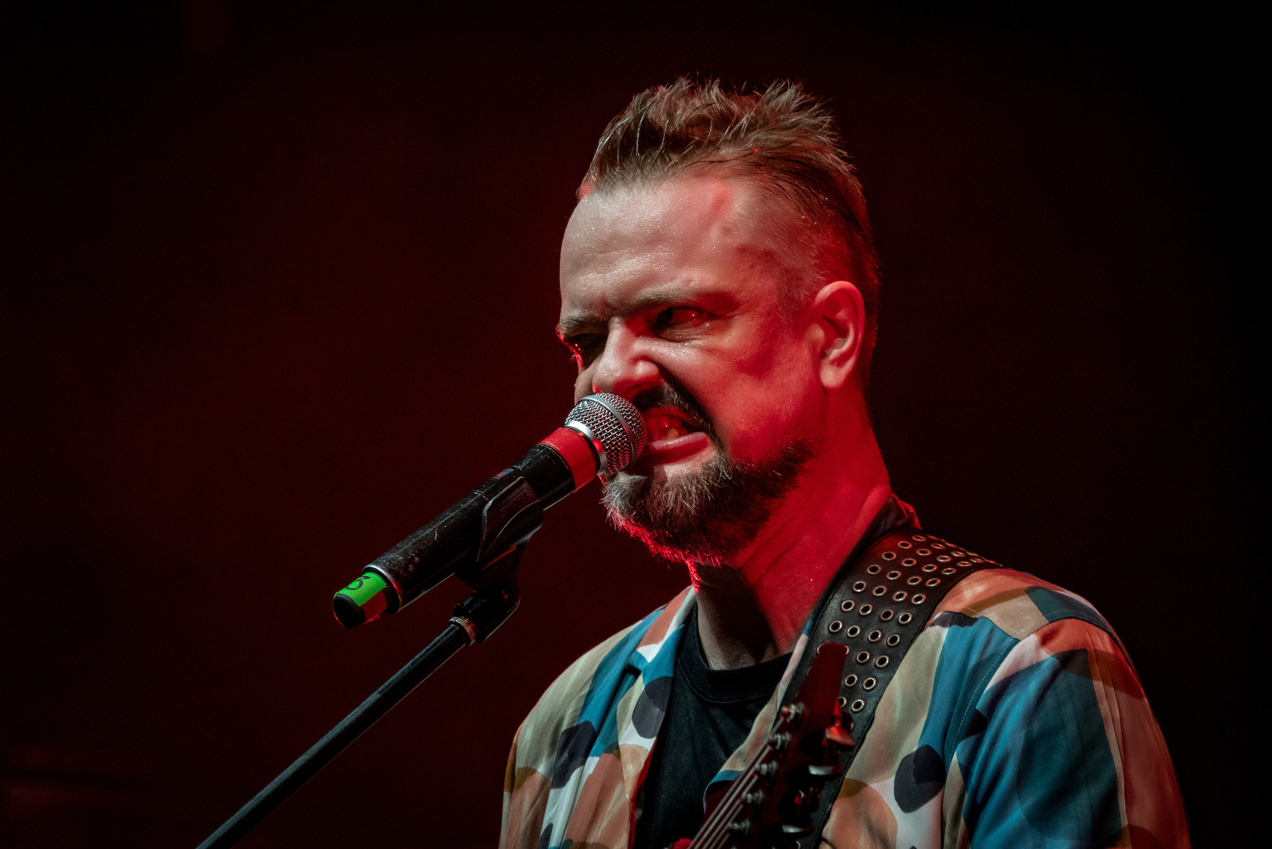 Александр Пушной. Фотограф-анималист в Москве Юлия Лайхо