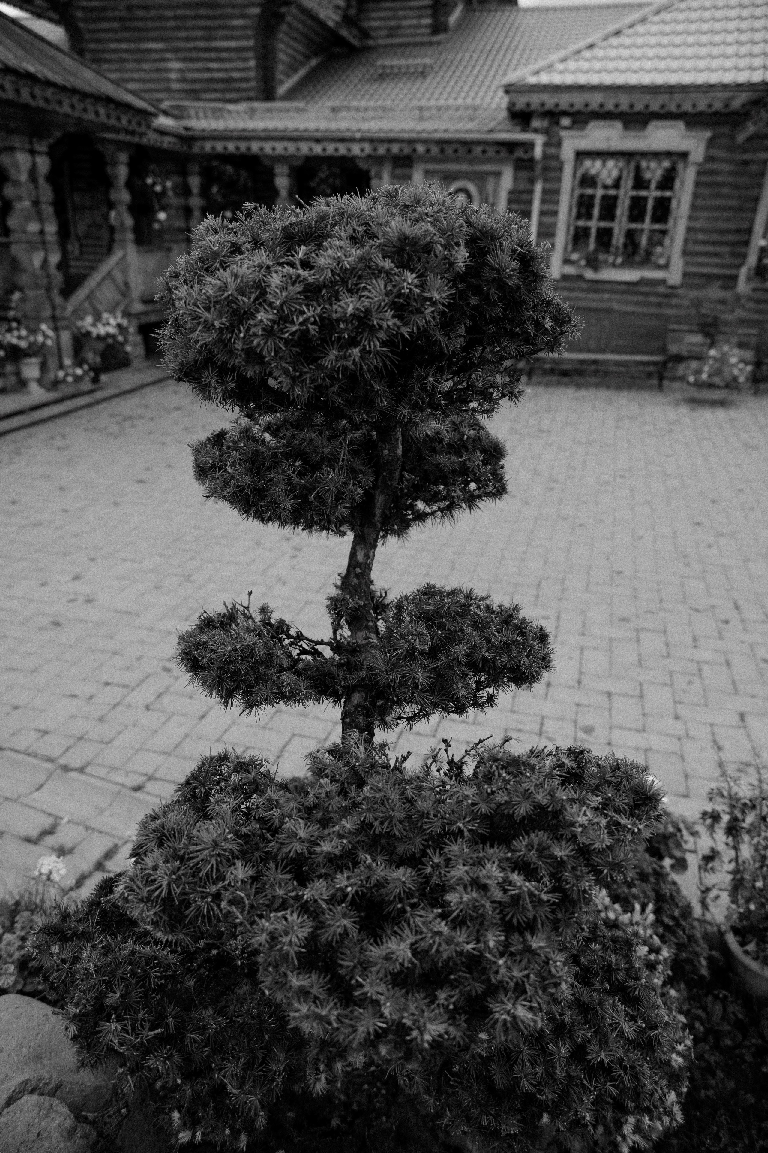 Храм Святого мученика Иоанна Воина. Антон Непочатых — Большой мужской фотограф