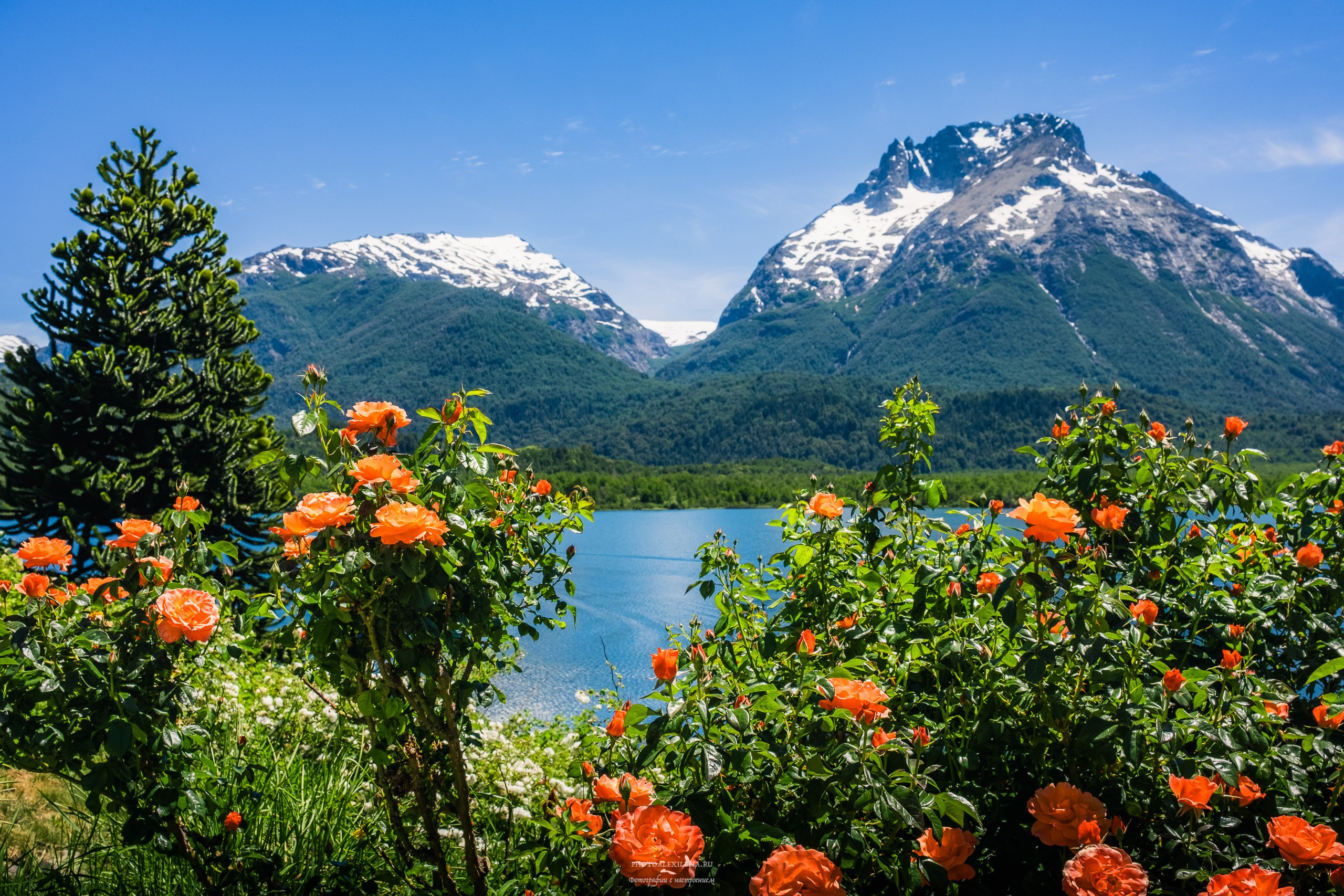 Лучше гор могут быть только горы…. Авторские стильные фотокартины