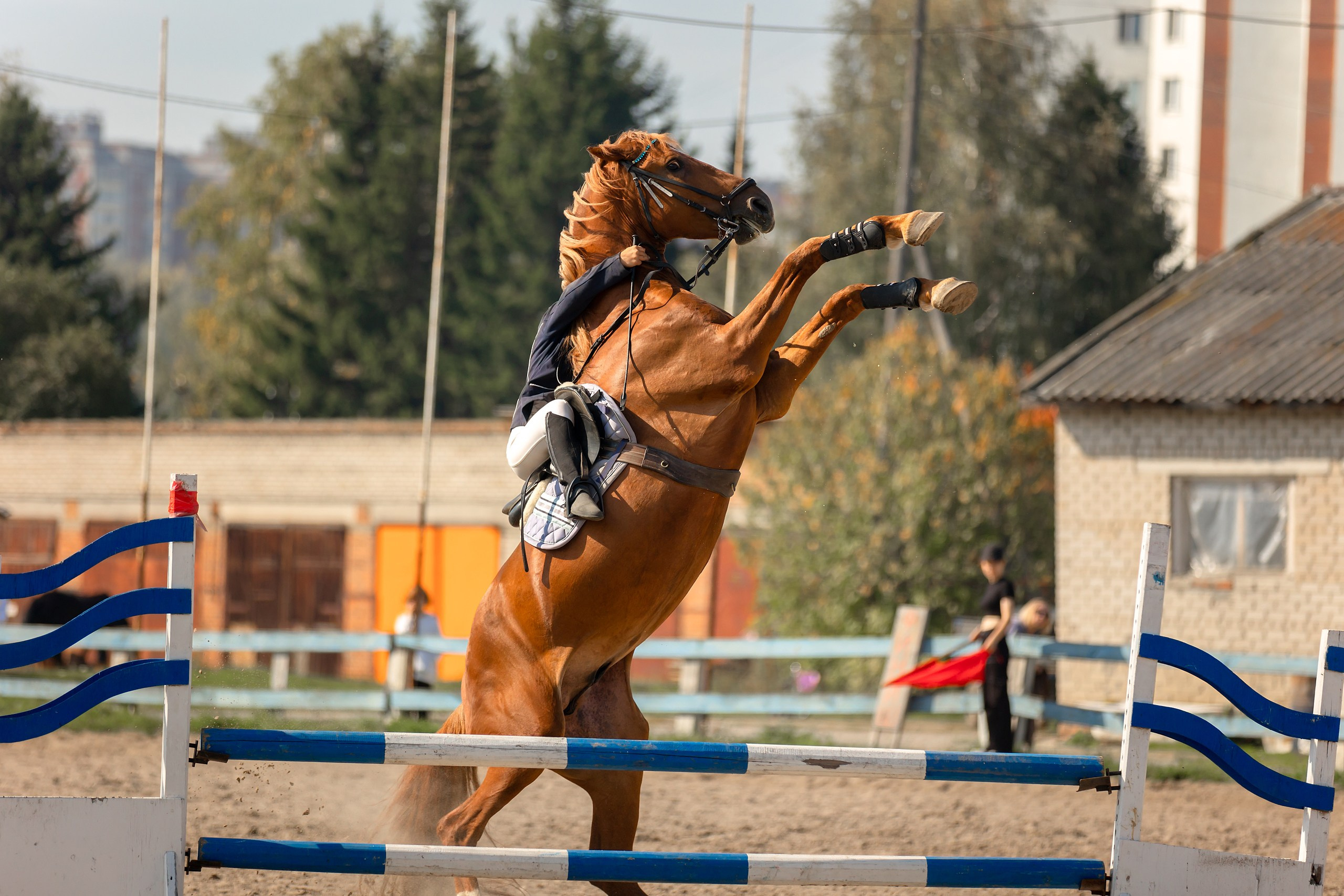Соревнования по конному спорту. Конный фотограф Валынкина Лера