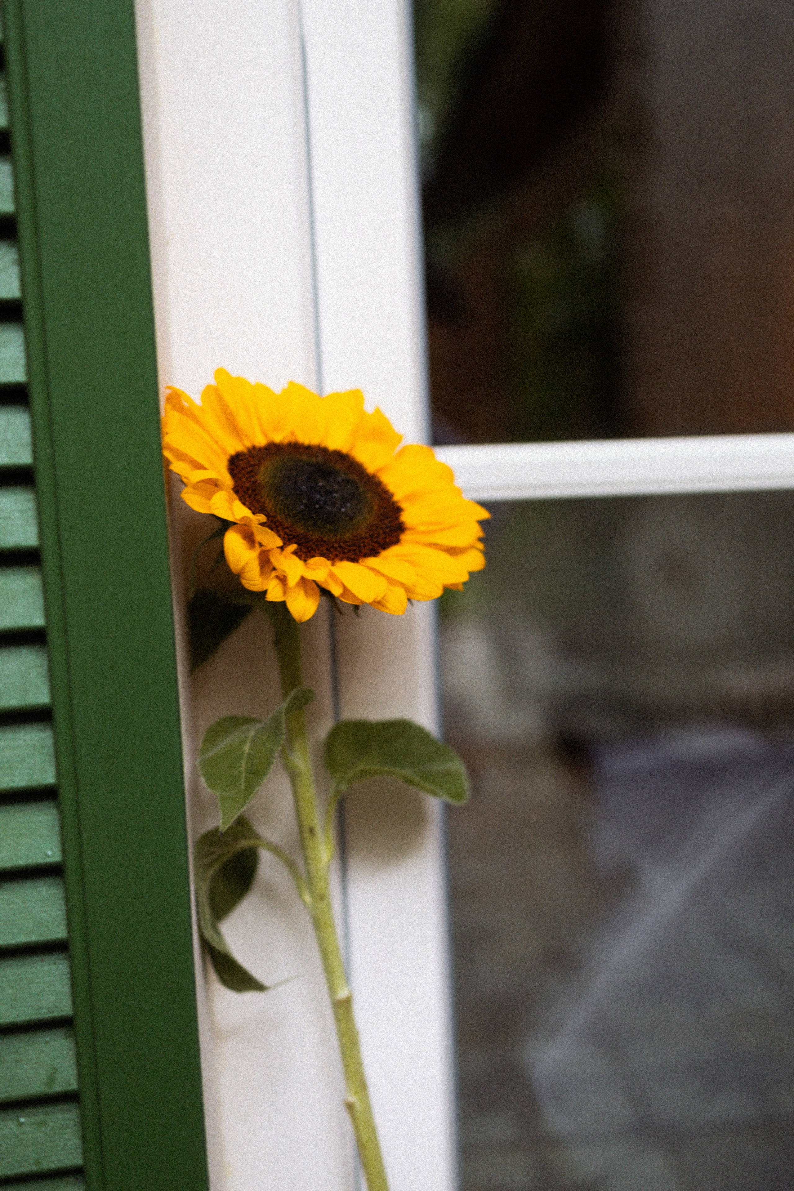 Italian vocation. Свадебный и портретный фотограф в Москве Анастасия Тихомирова