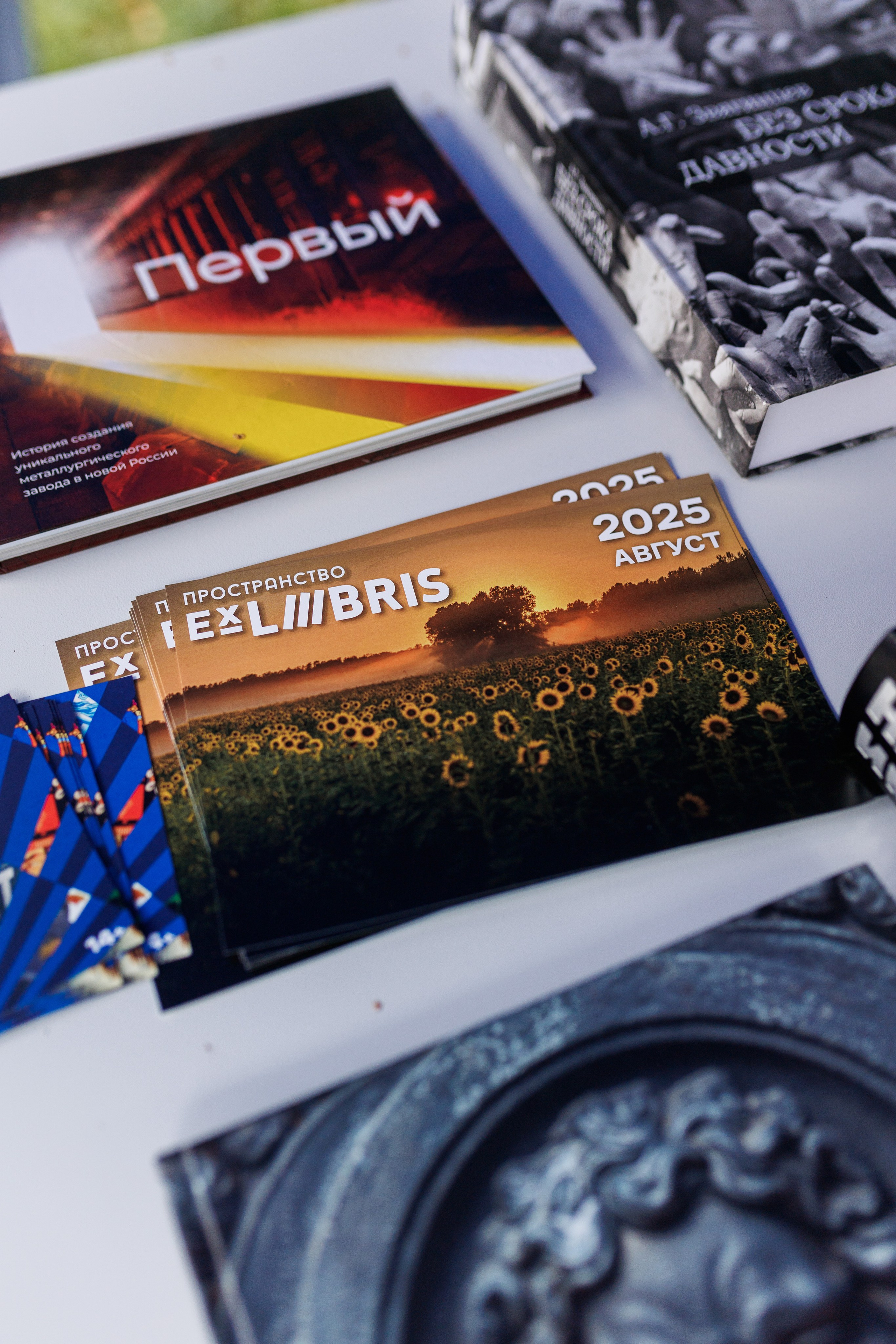 Книжный фестиваль «Смены» в Выксе 2025. Фотограф городских и семейных событий Артем Карпухин