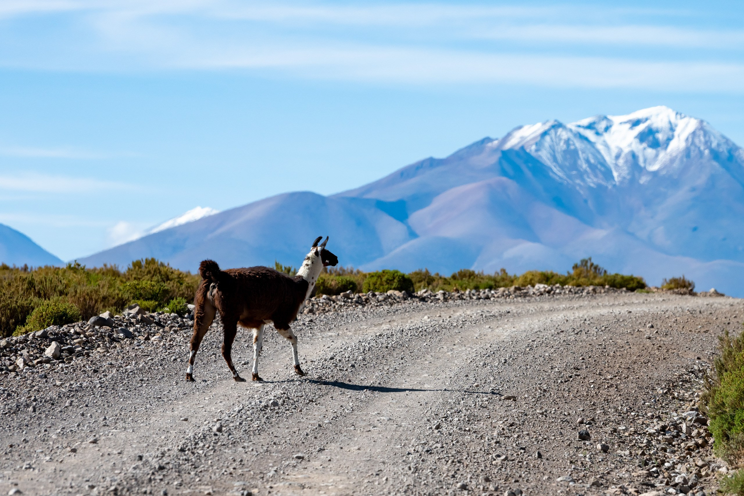 Фотографии из путешествий. Foto-Zuev фотография как искусство