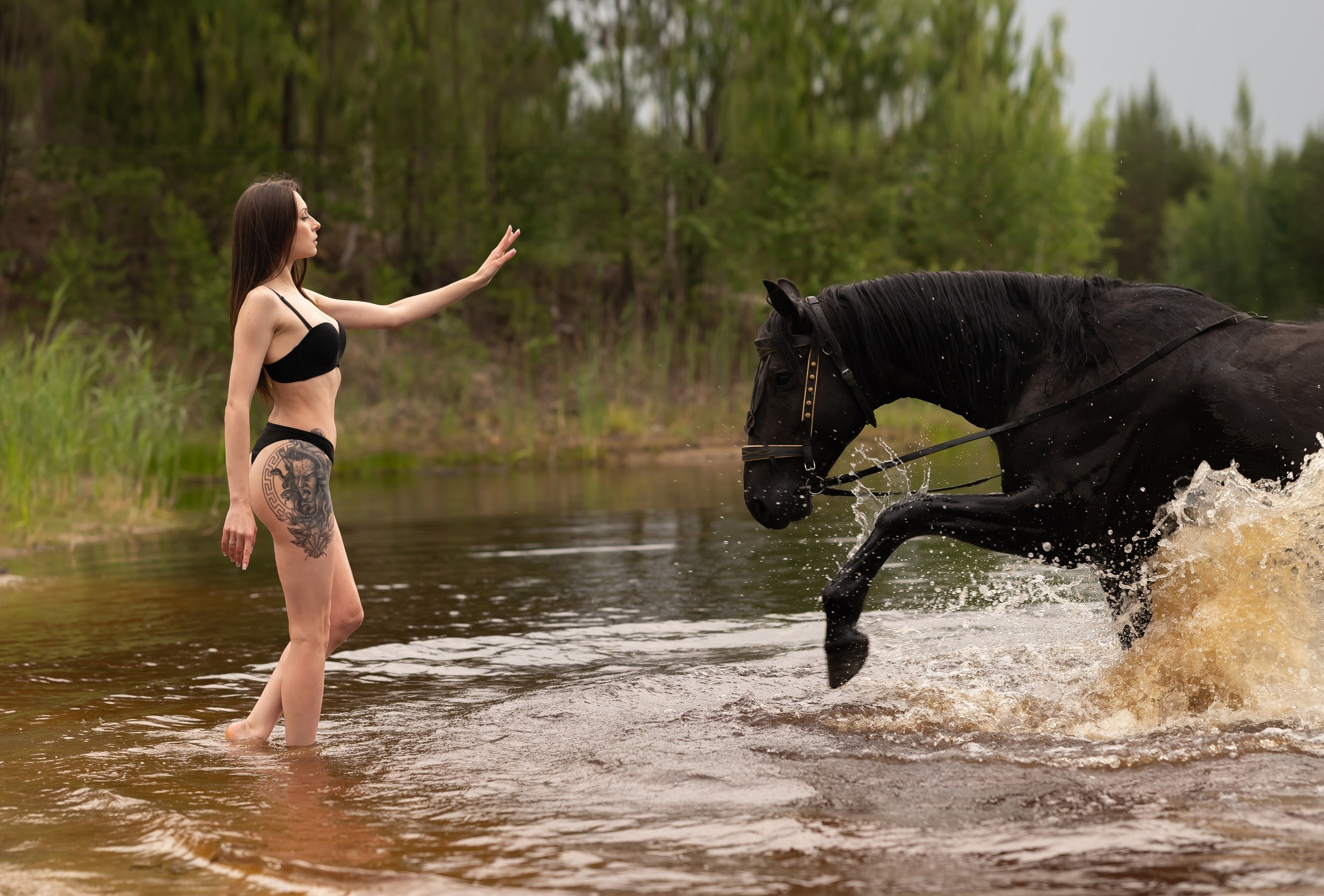 Елена. Конная прогулка. Фотограф в Тюмени Голышева Елена