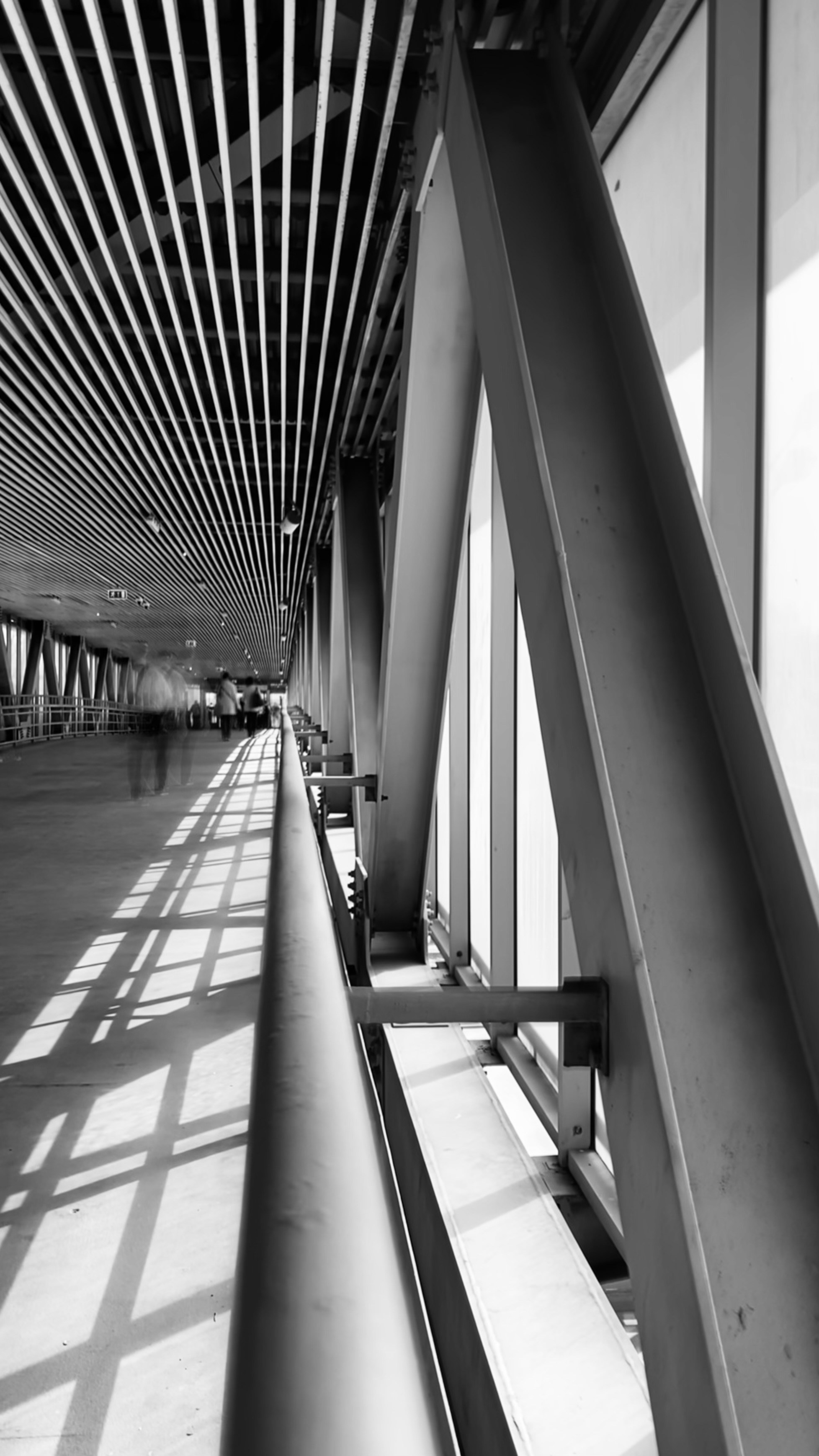 Мобильное фото. Фотограф в Москве Айгуль Евграфова