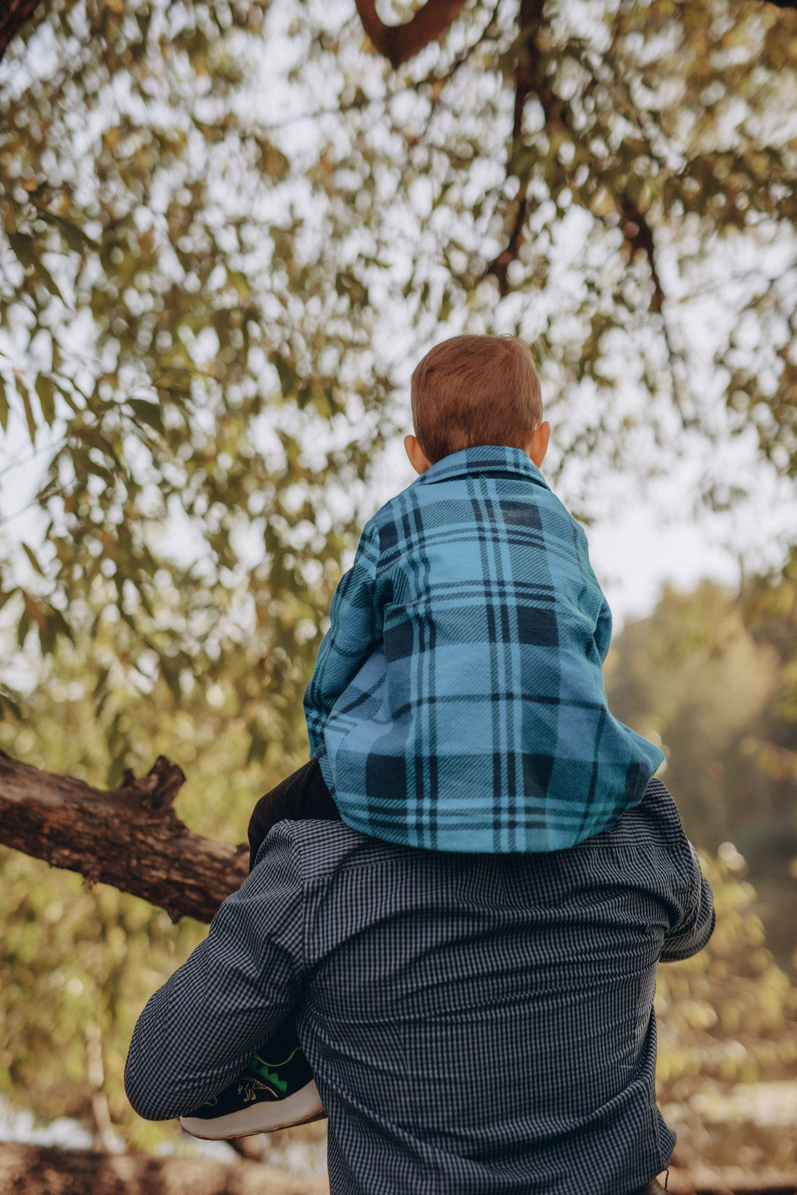 Елена и семья. Фотограф Анастасия Петрова