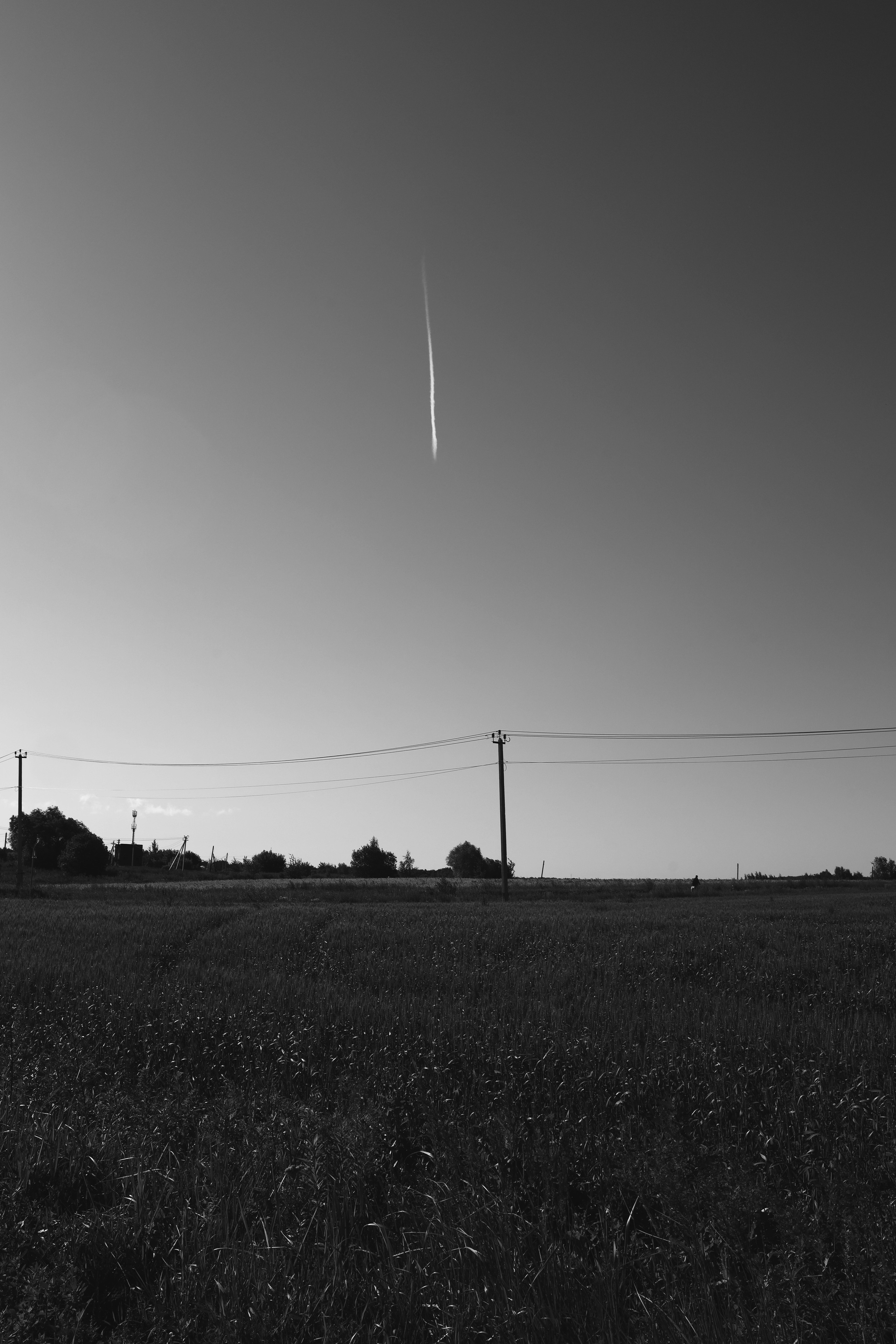 Black and white. Профессиональные фотосессии в Москве| Евгения Черенкова
