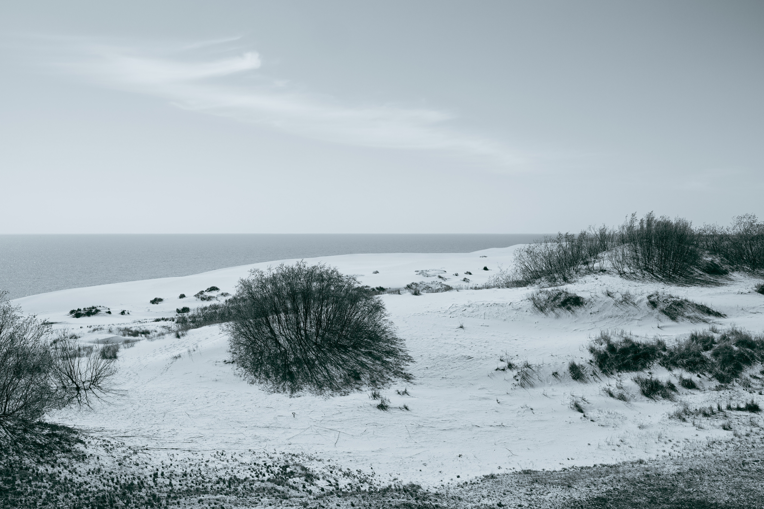 Black and white. Профессиональные фотосессии в Москве| Евгения Черенкова