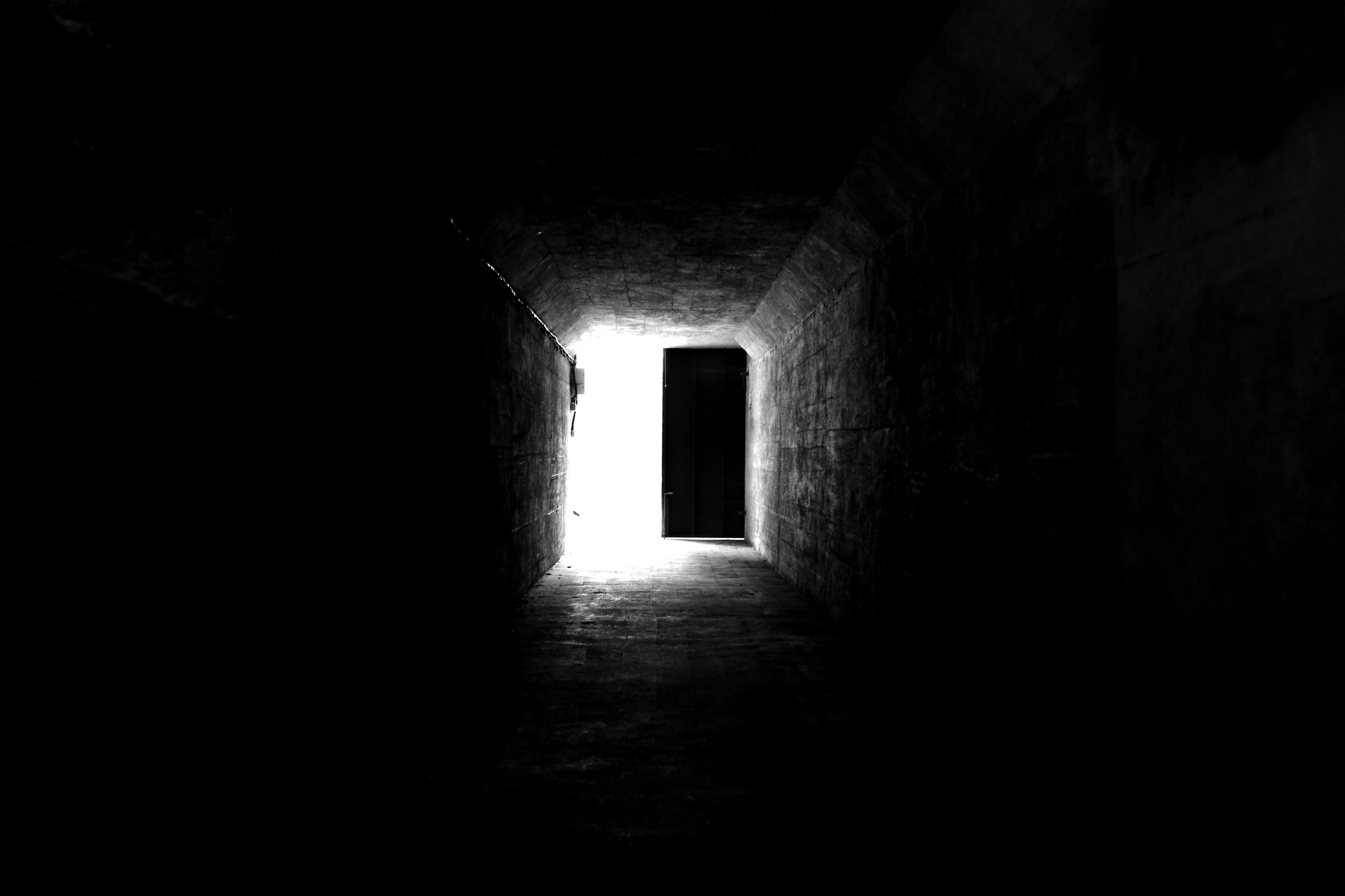 Black and white. Профессиональные фотосессии в Москве| Евгения Черенкова