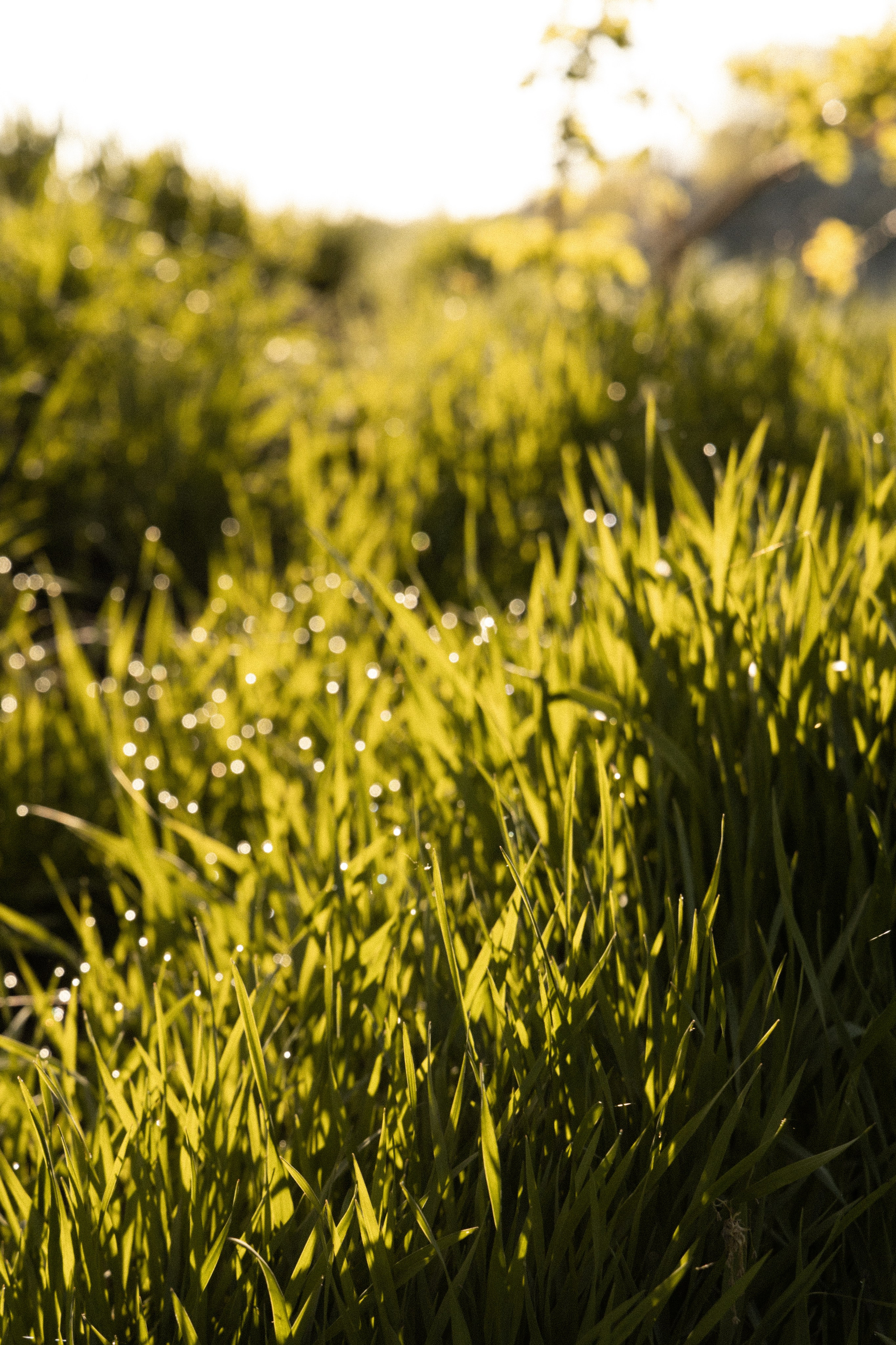 Съемка на карьере|Ильяс и Екатерина. Свадебный фотограф Челябинск Зиненко Виктория