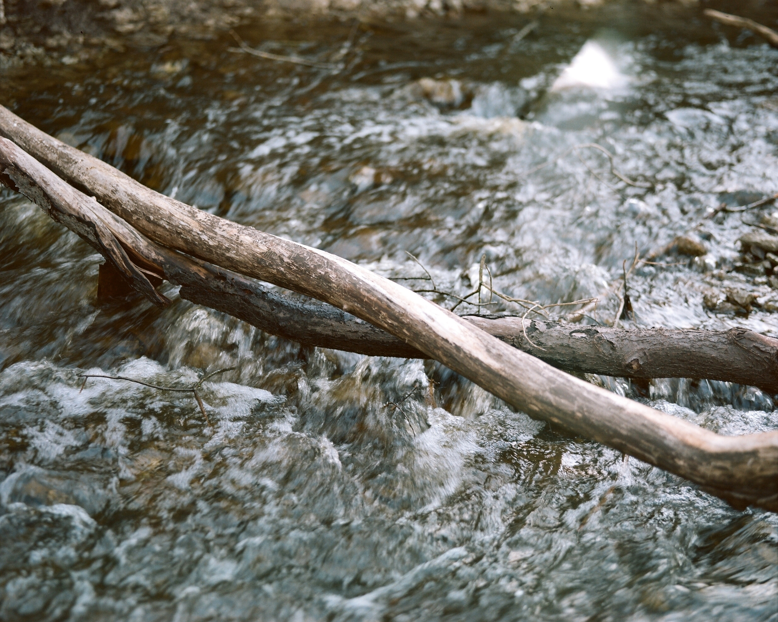 Дневник каньона. Екатерина Васильева художник, куратор и преподаватель