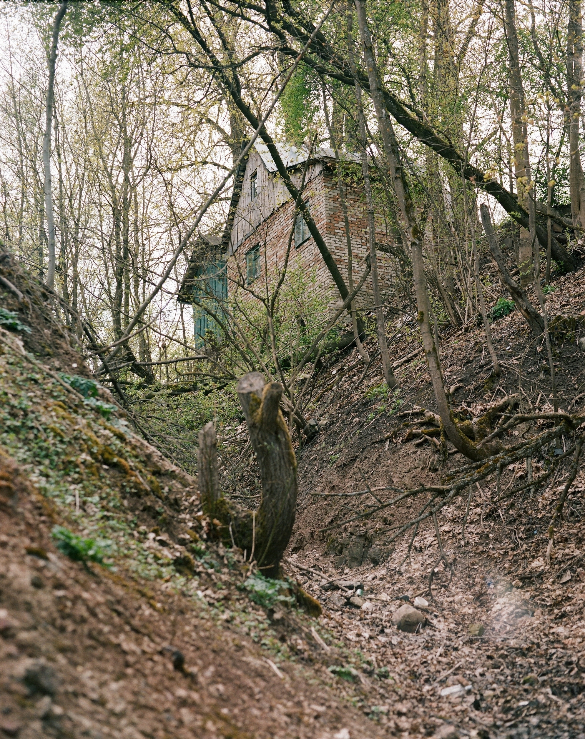Дневник каньона. Екатерина Васильева художник, куратор и преподаватель