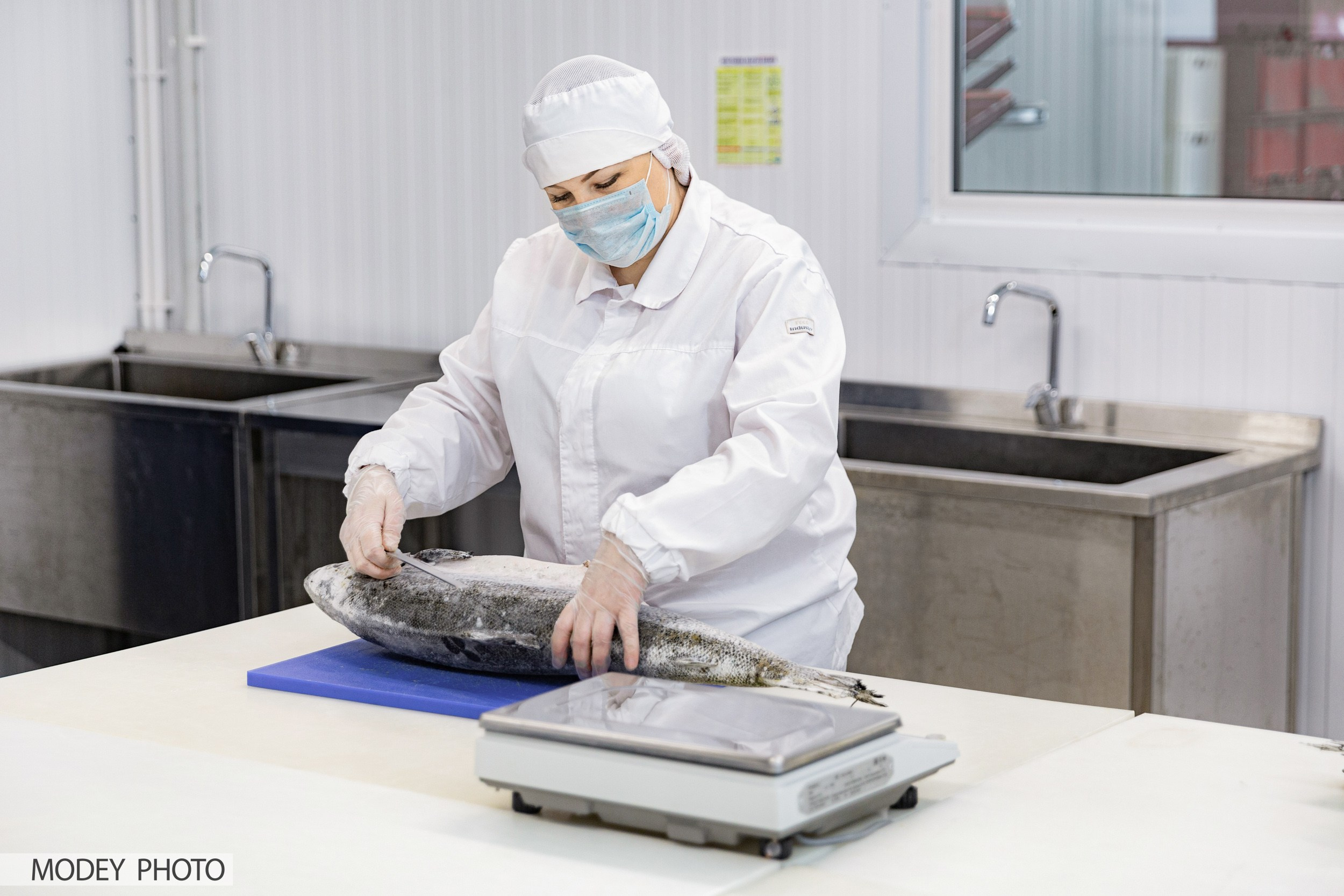 Производственный процесс пищевого цеха