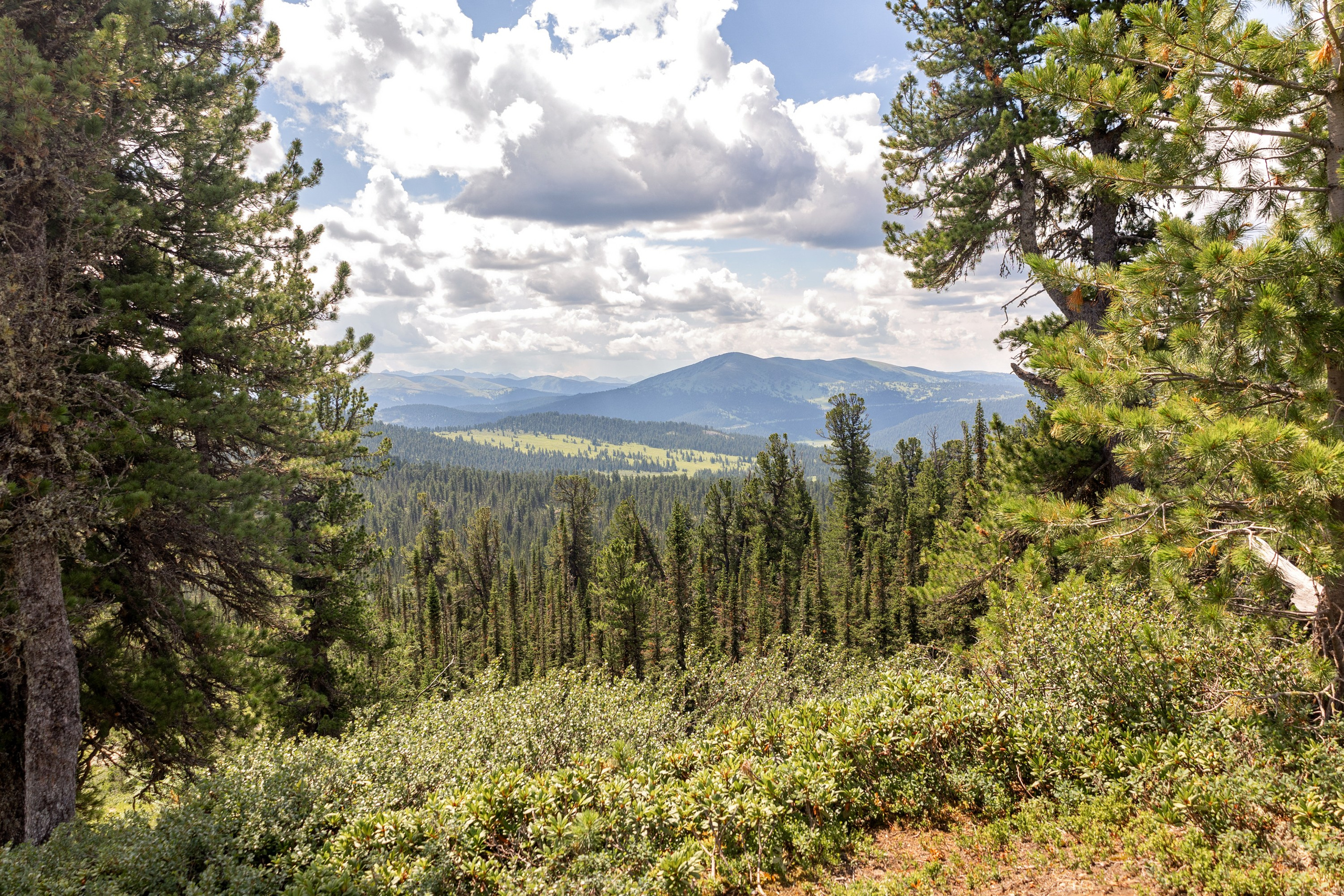 Ергаки. Семейный и детский фотограф в Красноярске, Дивногорцева Светлана