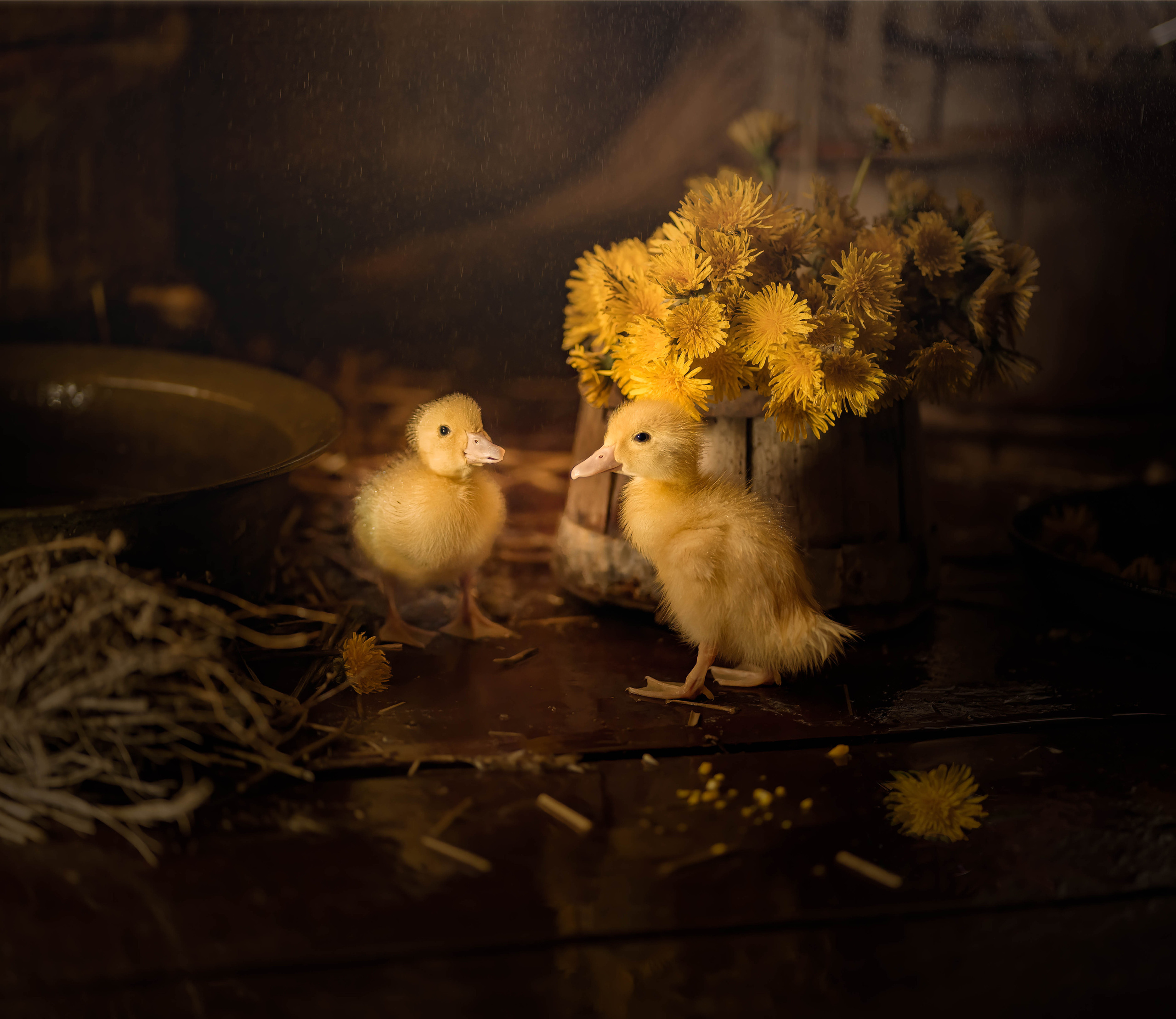 Фотографии сделаны сердцем