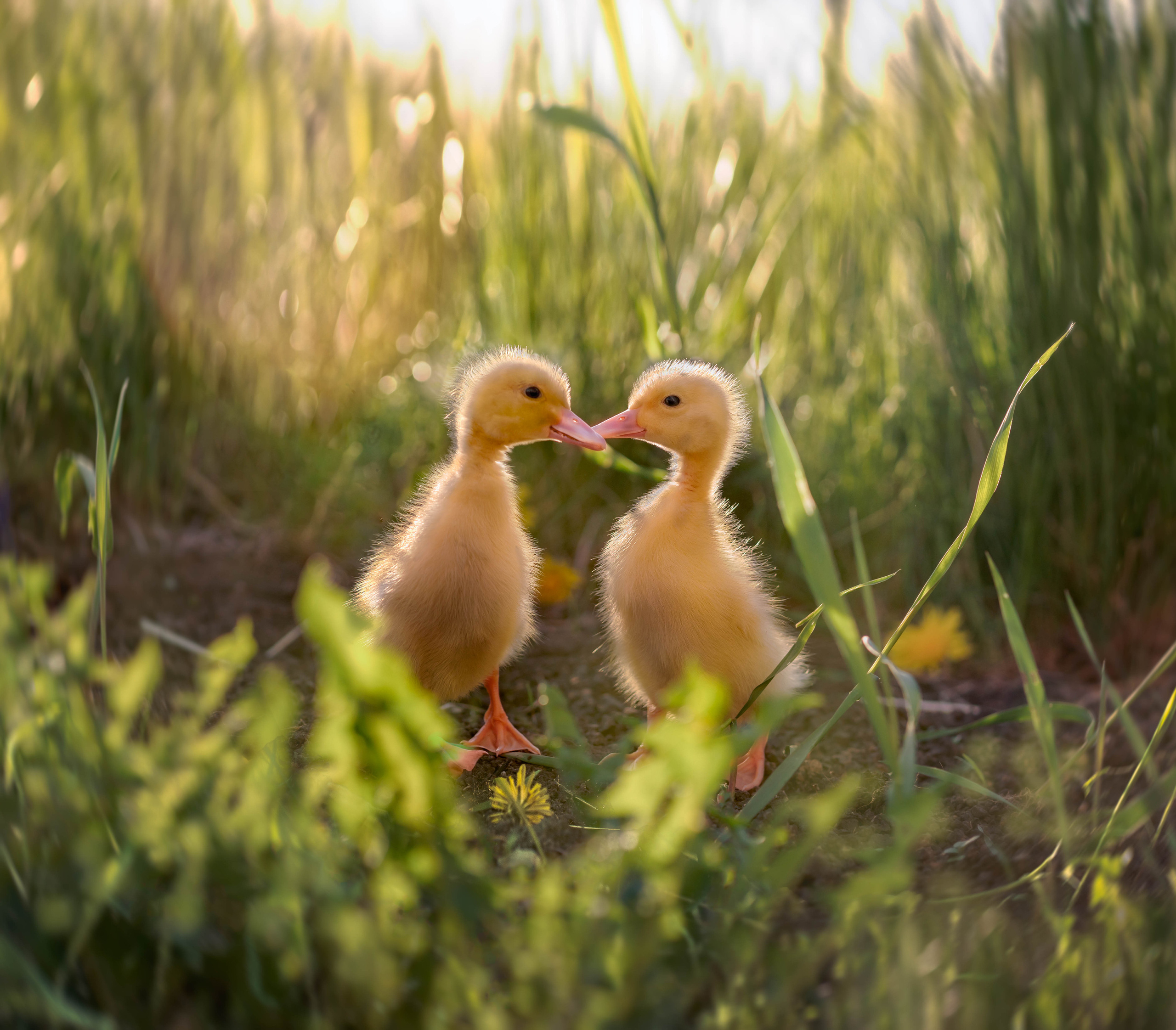 Фотографии сделаны сердцем