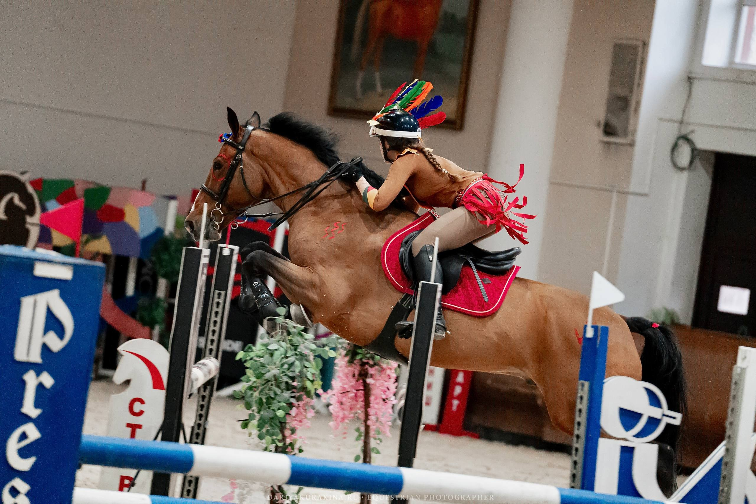 НОВОГОДНИЕ КЛУБНЫЕ СОРЕВНОВАНИЯ ПО КОНКУРУ. Куракина Дарья • Конный фотограф