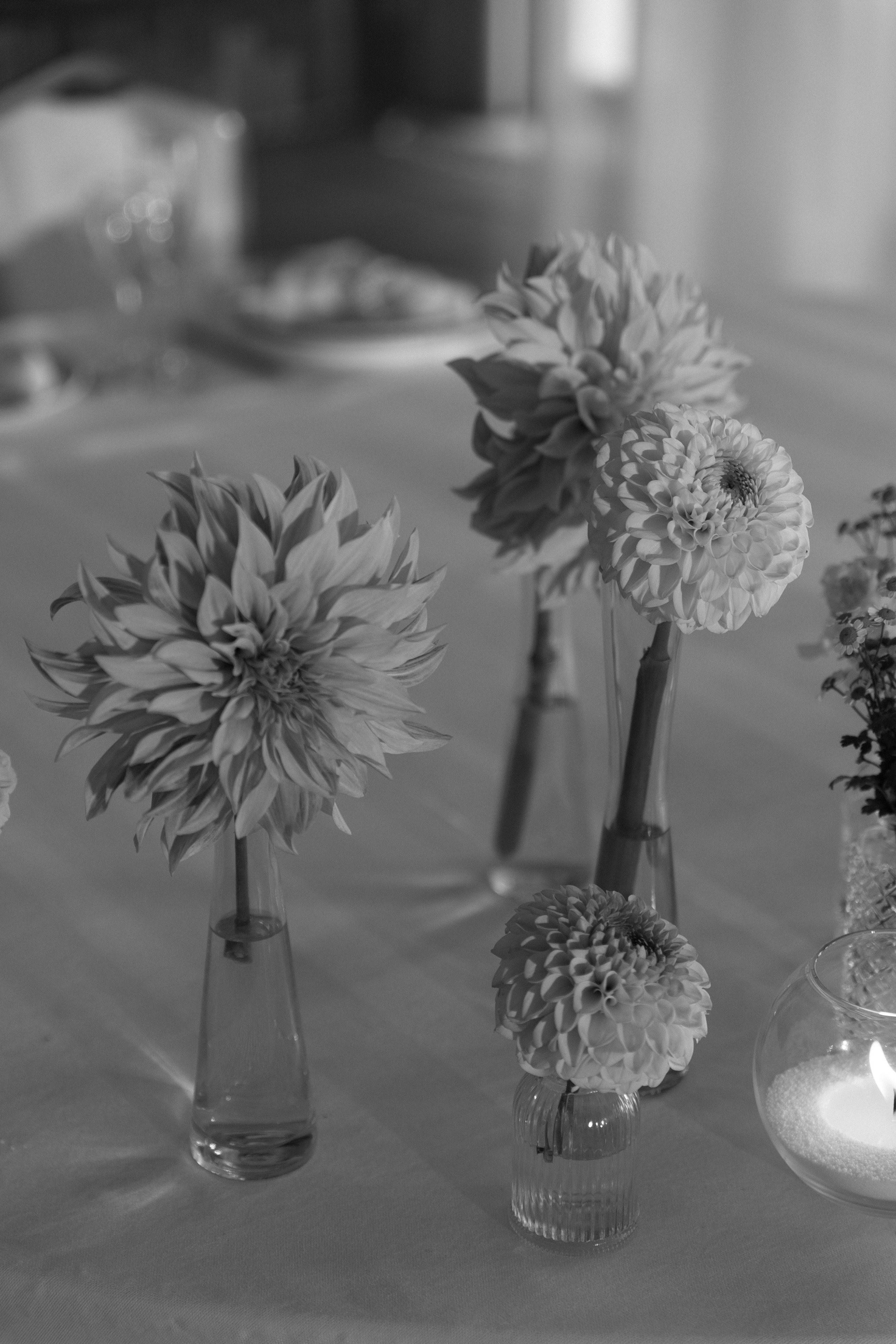 Александр и Дарья. Свадебный фотограф в Пятигорске и КМВ Софья Аджикеримова