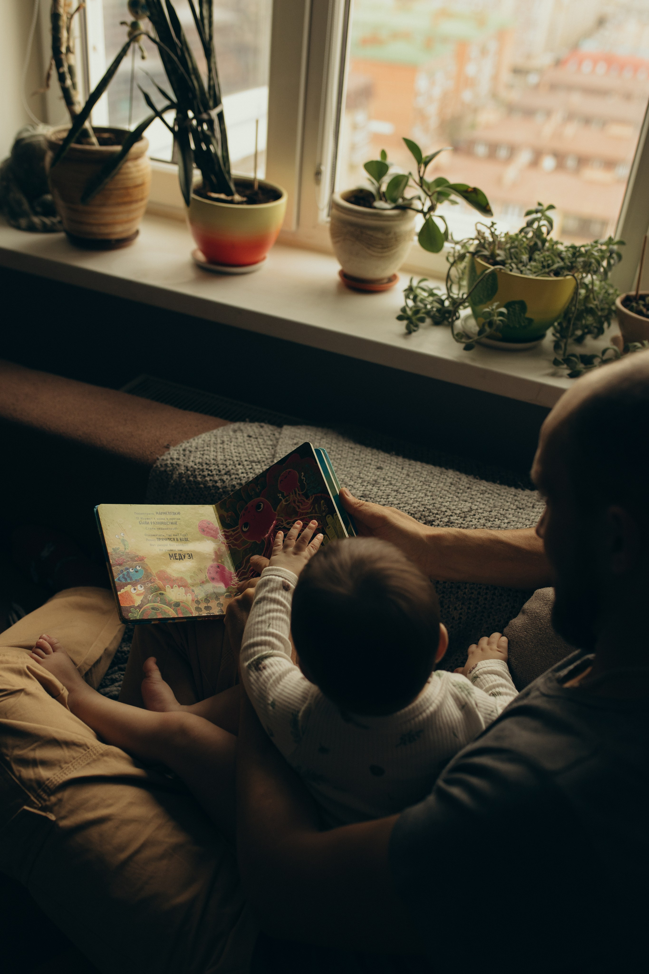 Домашняя история. Meryfotoidea