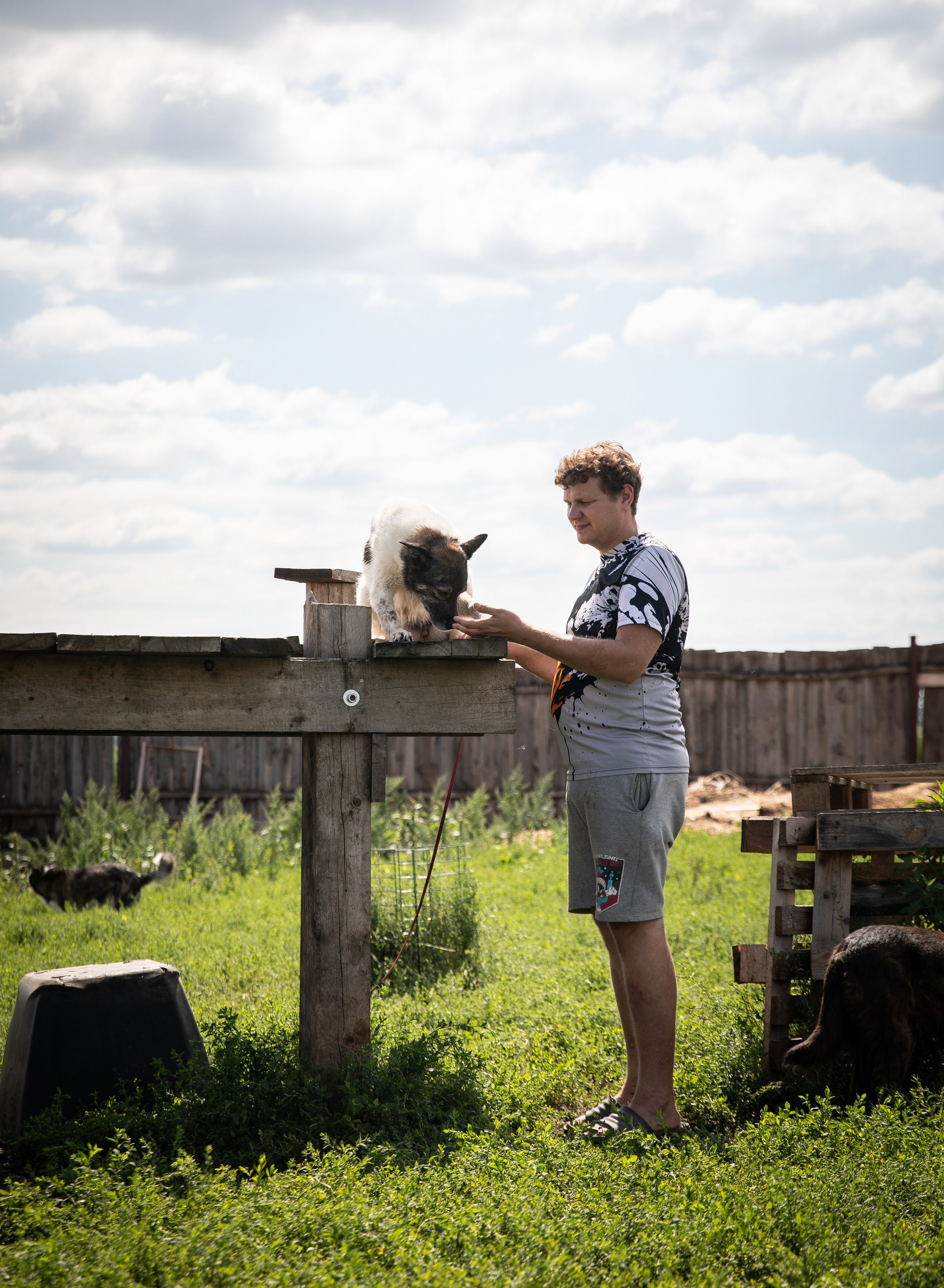 Приют — Наш дом. Репортажный и свадебный фотограф в Челябинске Елисеев Павел