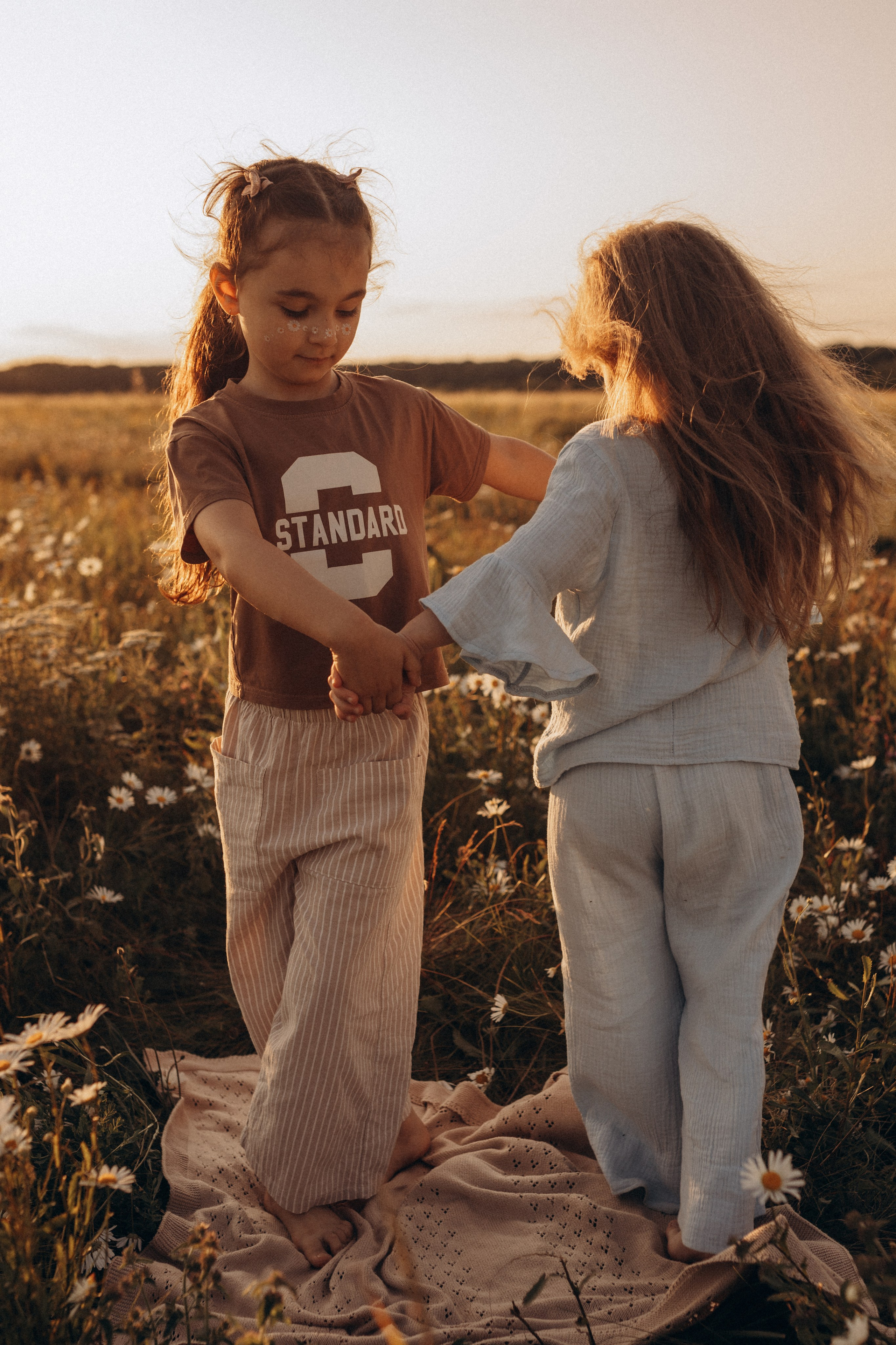 Закат на ромашковом поле. Фотограф в Ставрополе Svetlana Matveeva