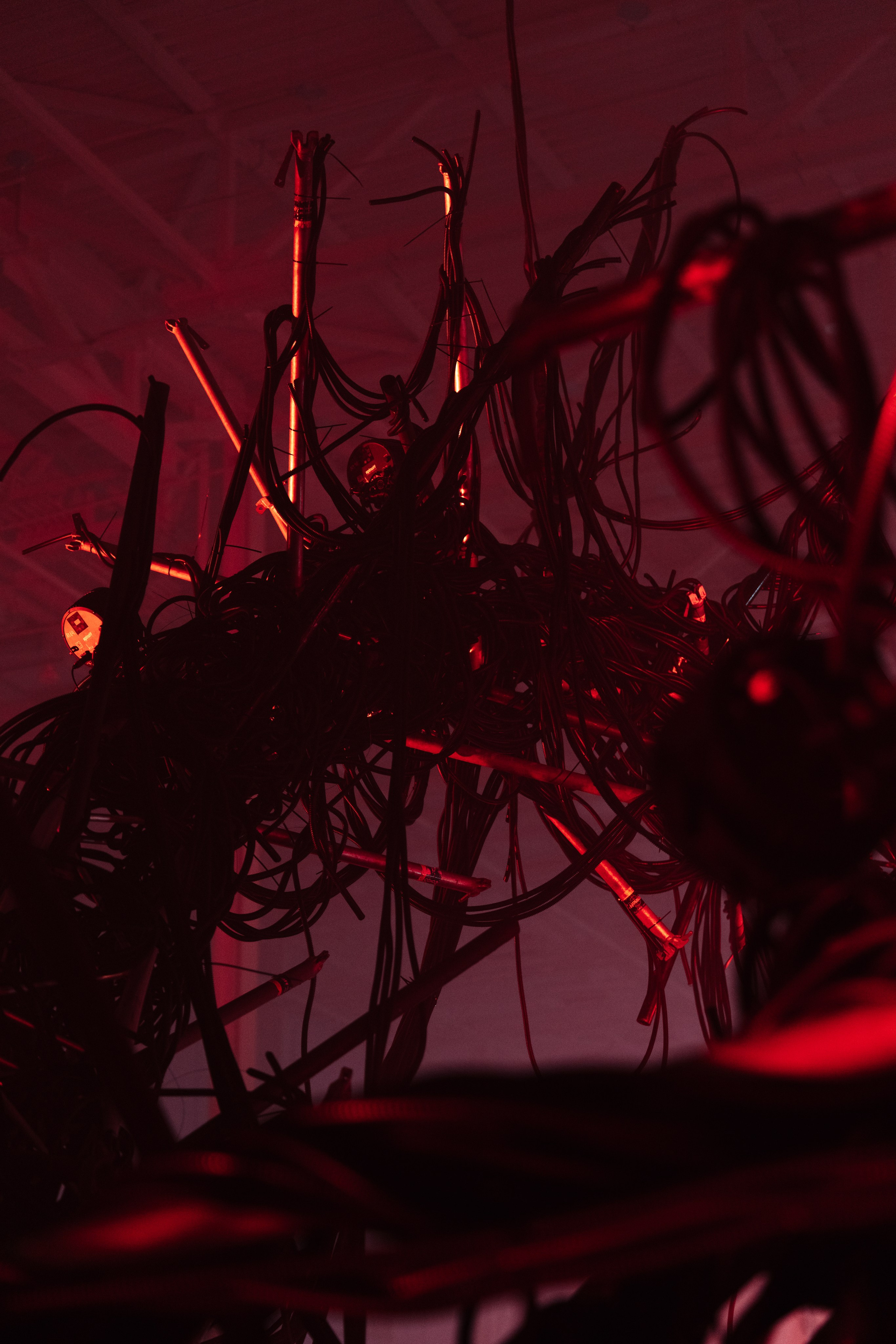 PANTERRA, CHRONOMORPH 001. @tomrus: Рустам Шагиморданов — фотограф