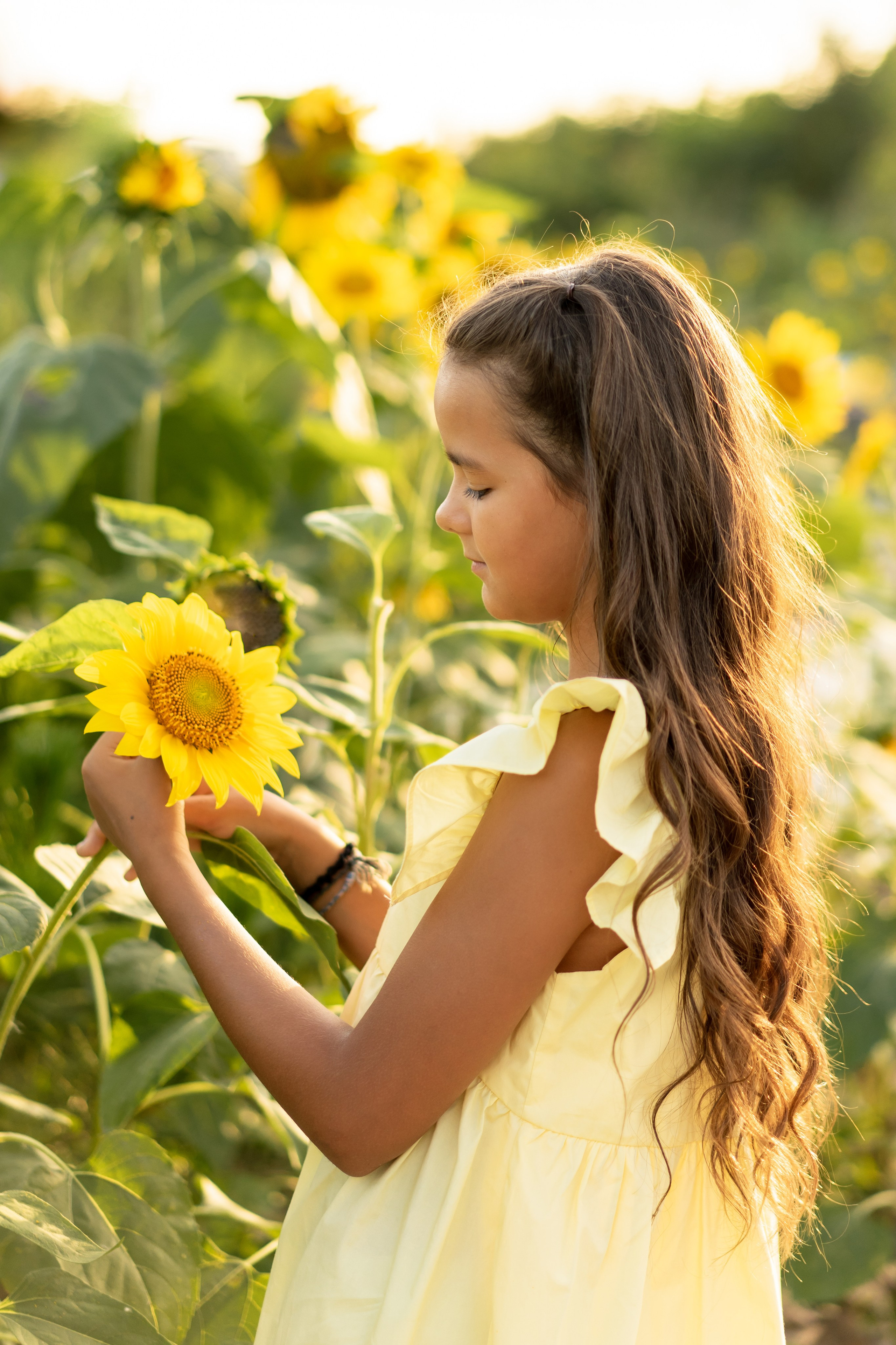 Золотое Лето. Семейный и детский фотограф во Владивостоке Мария Гой