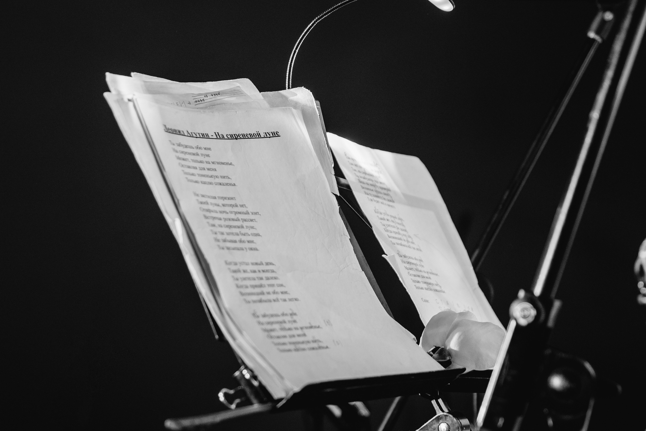 ANONS. Мария — Свадебный фотограф