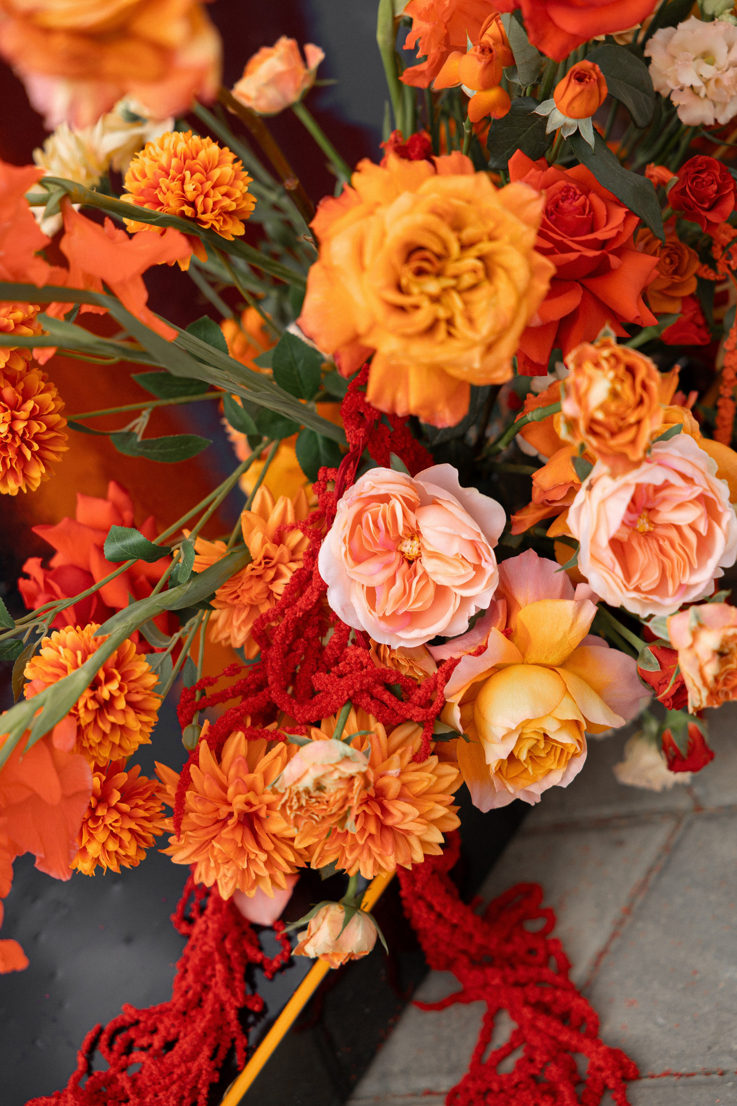 Dmitry & Maria. Вебер Юлия фотограф Ростов-на-Дону