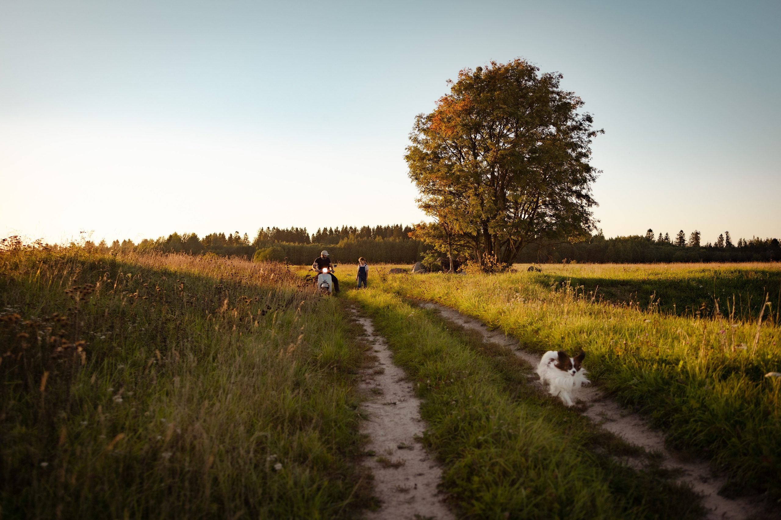 Семейный досуг: папа и дочь катаются на мопеде под лучами солнца а собака бежит впереди