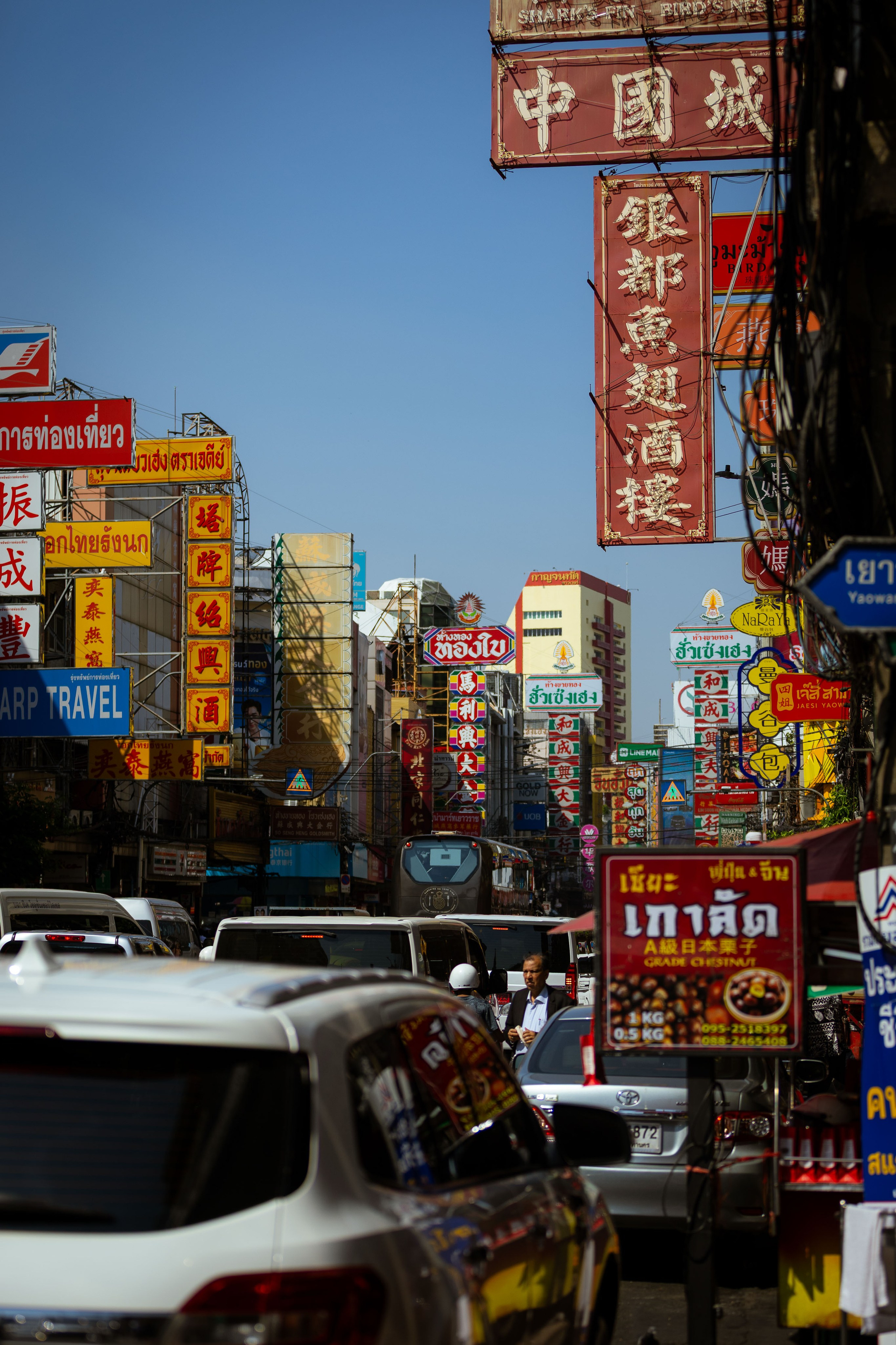 Вьетнам (зима 2025-2026). Фотограф Виноградов Константин