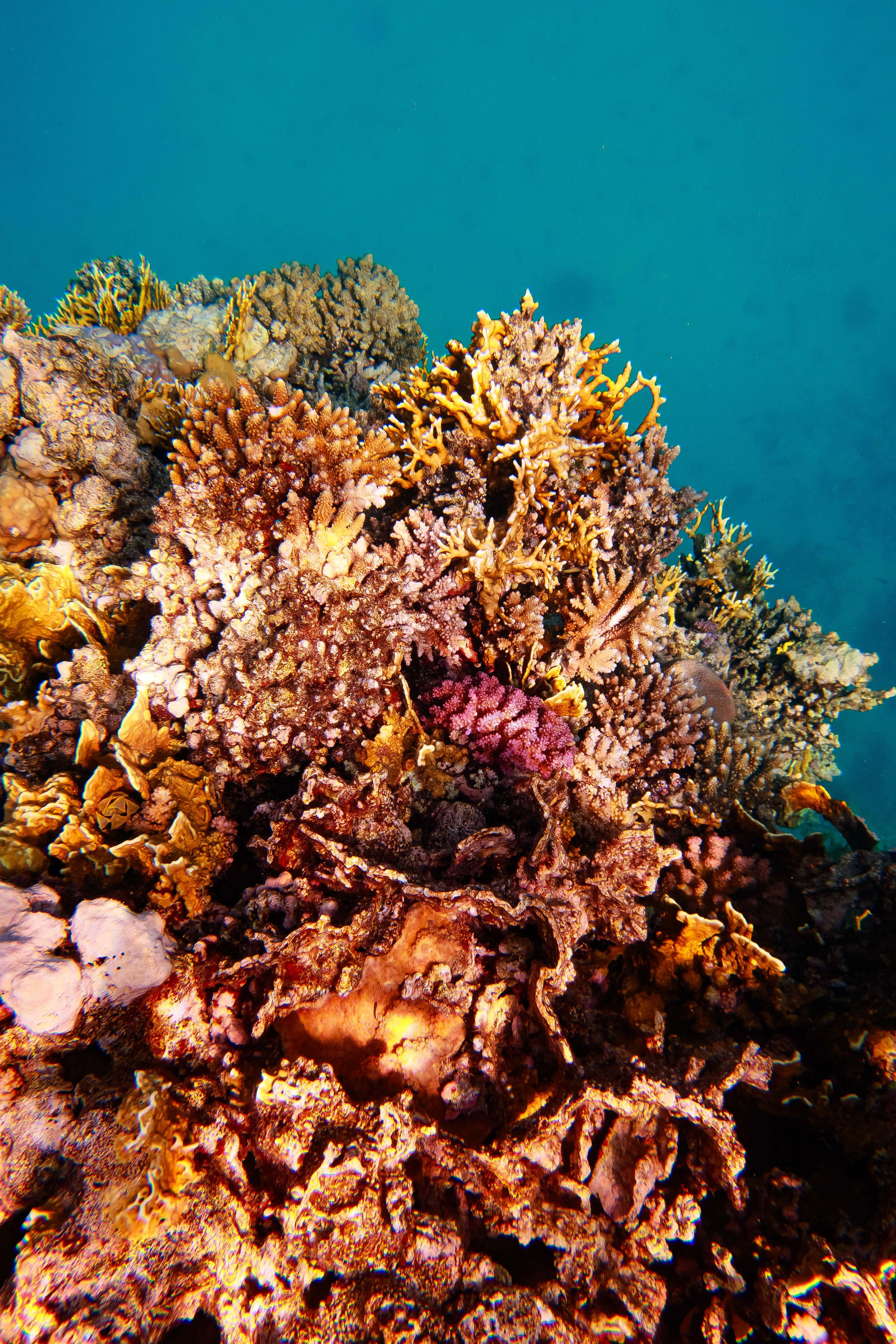 Fish. Фотограф Светлана Голицына