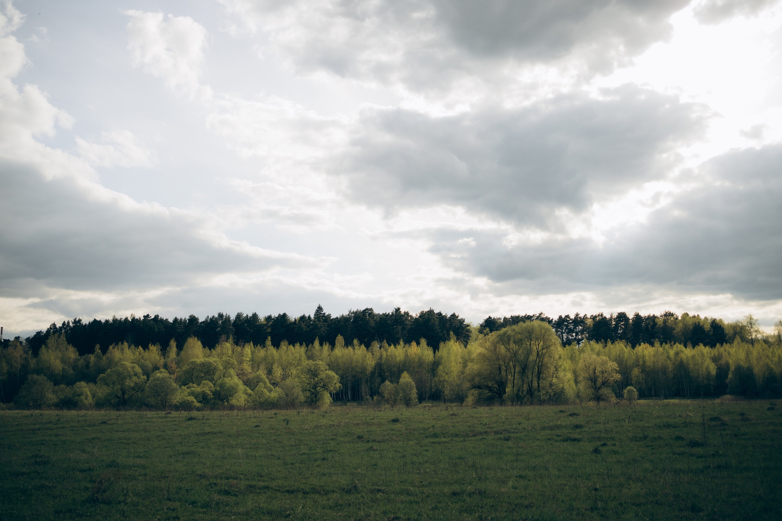 Istra. Женский фотограф Истра