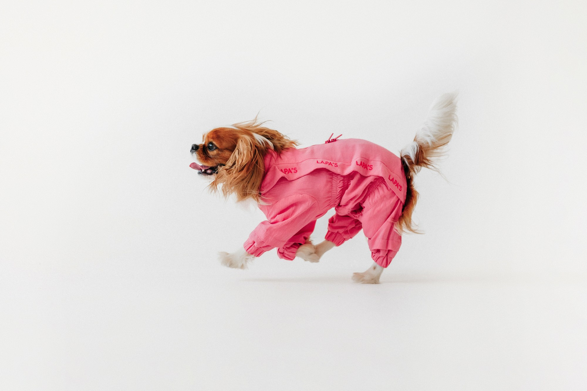 Одежда Lapa`s brand. Фотограф-анималист Елена Радченко, Москва