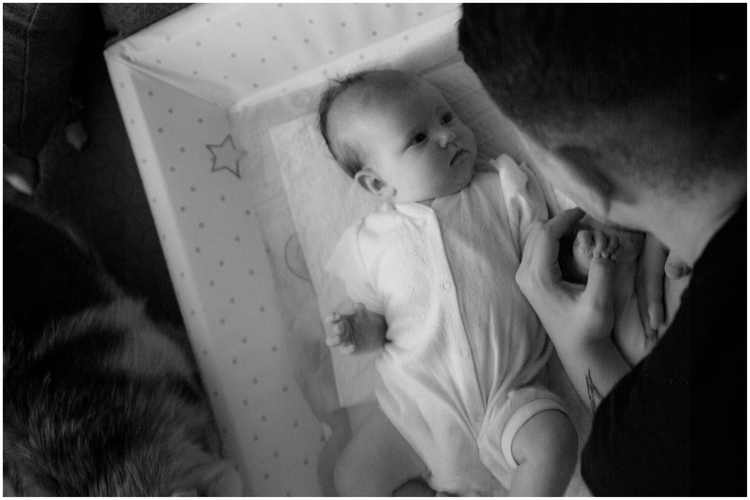 Вадим, Саша и Агния. Александра Крашевская. Портретный фотограф в Москве и Санкт-Петербурге