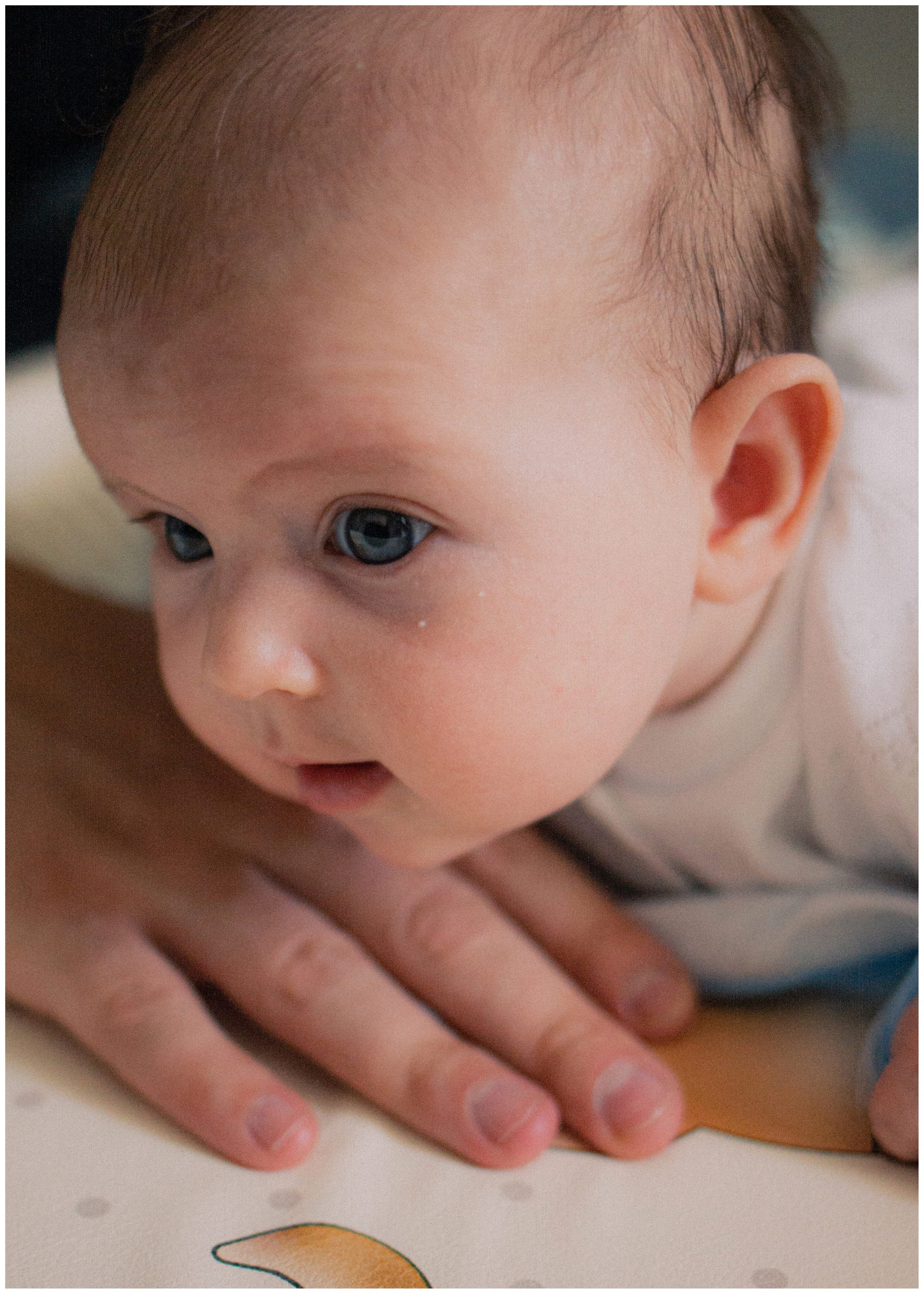 Вадим, Саша и Агния. Александра Крашевская. Портретный фотограф в Москве и Санкт-Петербурге
