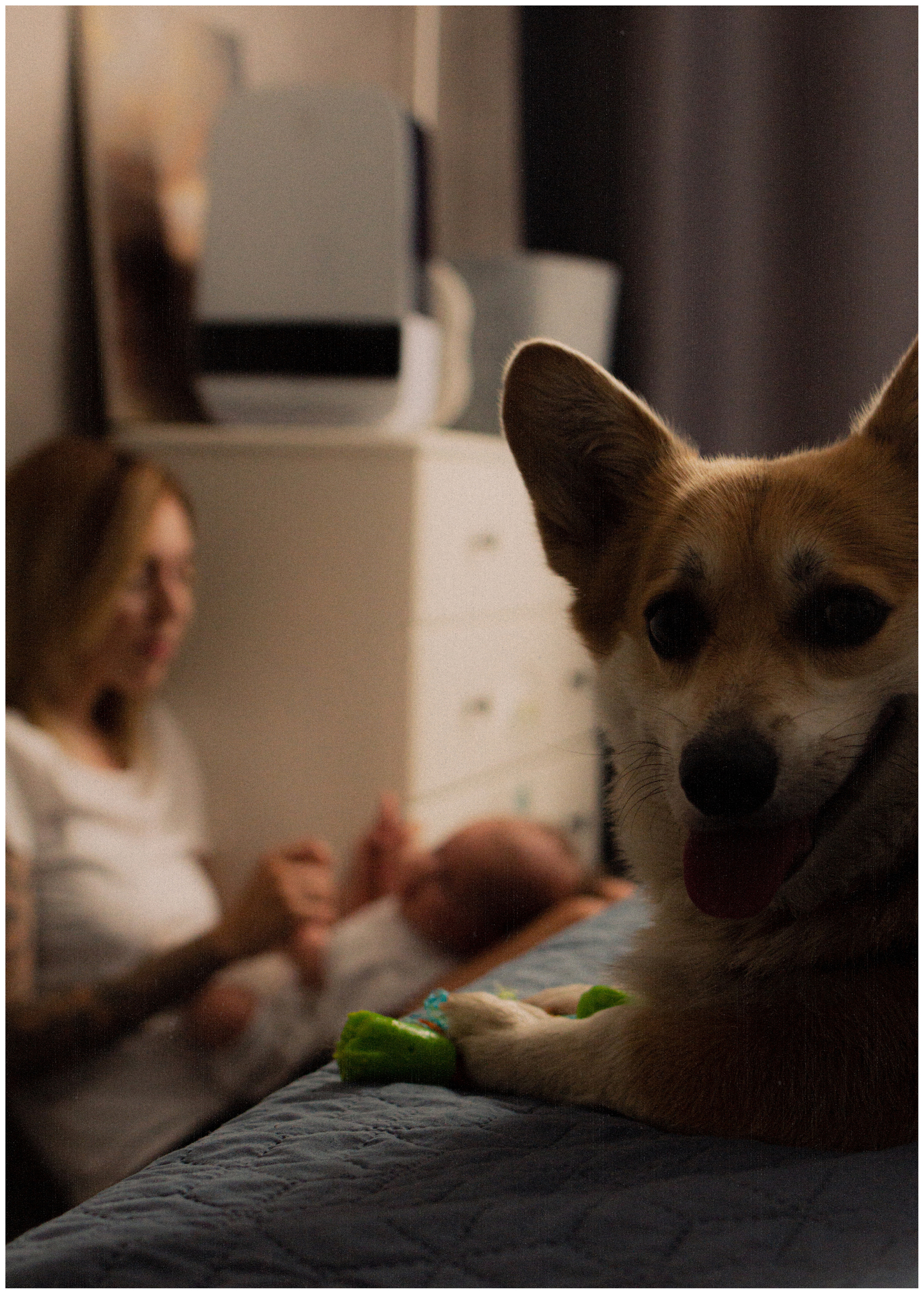 Вадим, Саша и Агния. Александра Крашевская. Портретный фотограф в Москве и Санкт-Петербурге