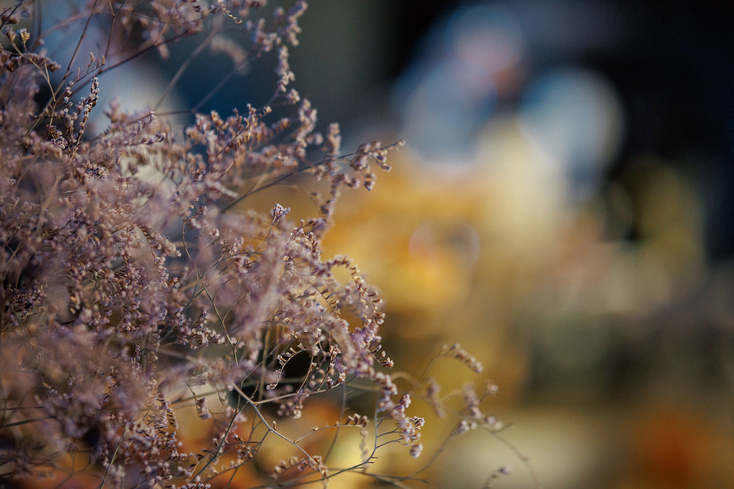 Репортаж. Фотограф Кирилл Дорофеев, г. Москва