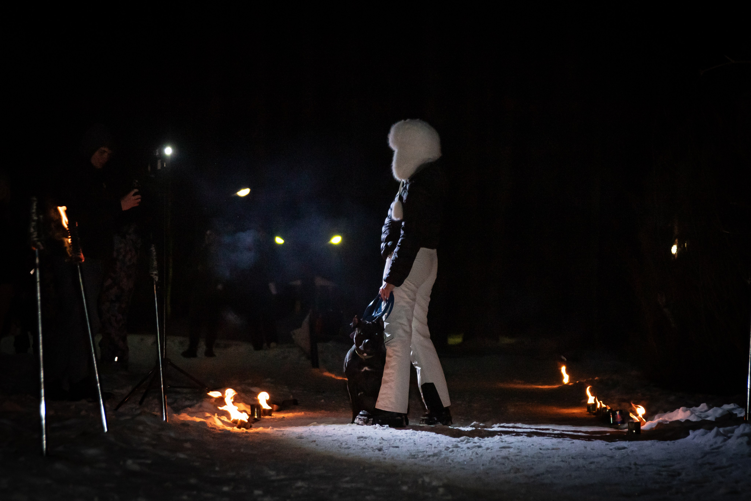 Фотосъёмка с собаками в Кинологическом лагере. Фотограф Макс Огурцов в Нижнем Новгороде