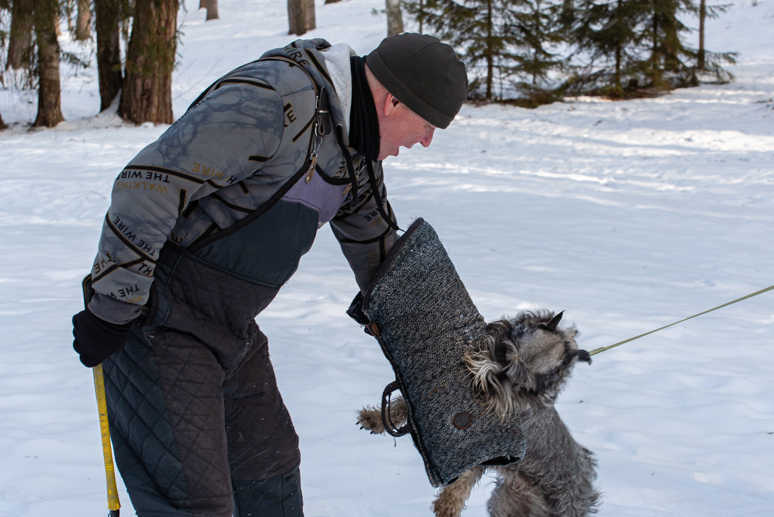 Фотосъёмка с собаками в Кинологическом лагере. Фотограф Макс Огурцов в Нижнем Новгороде