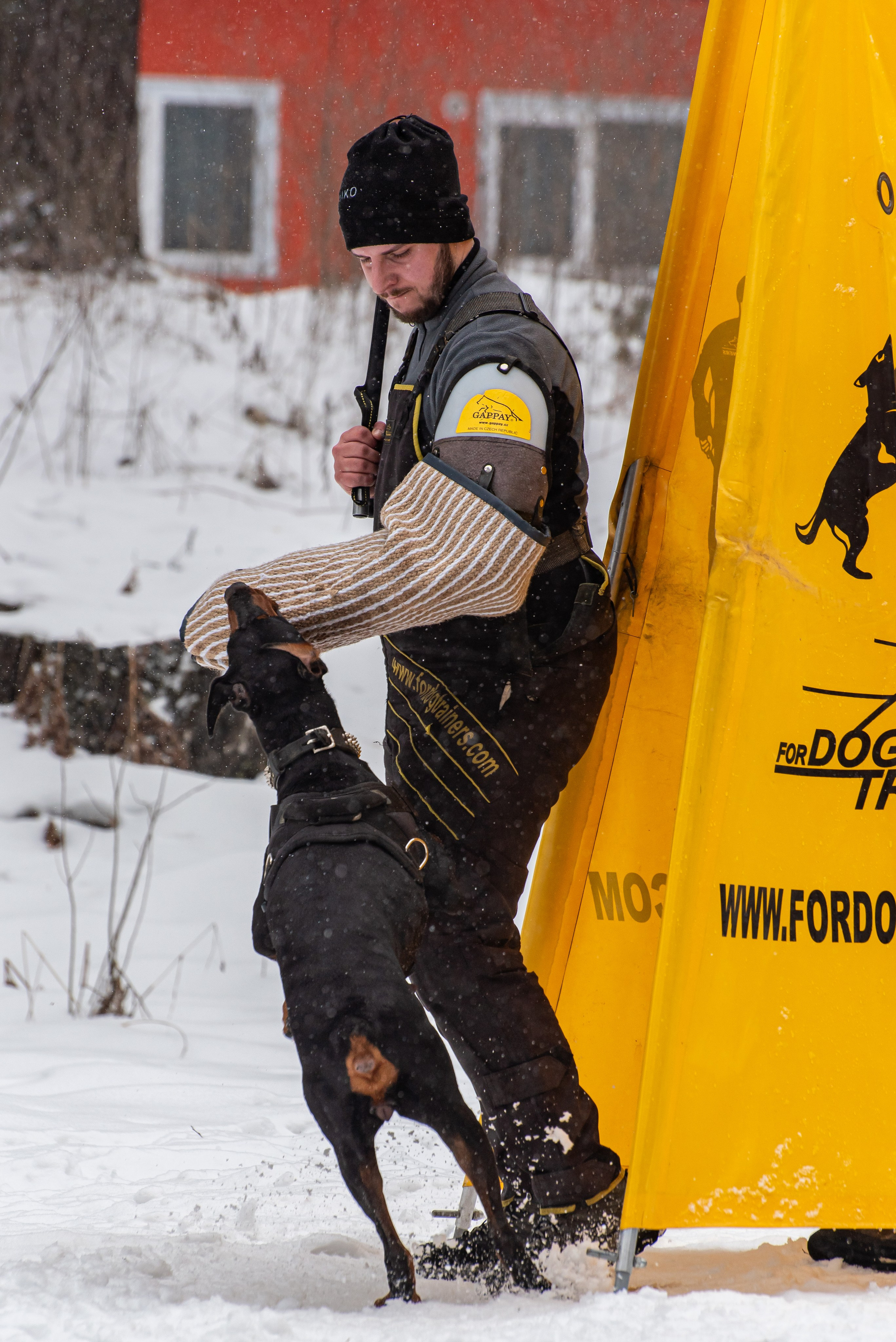 Фотосъёмка с собаками в Кинологическом лагере. Фотограф Макс Огурцов в Нижнем Новгороде