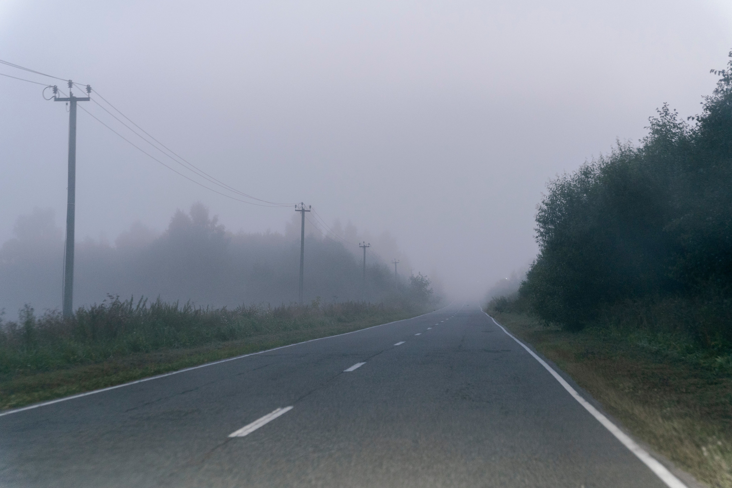 Молчановы. Многолетний проект о молодой семье. Фотограф в Москве Савкина Евгения