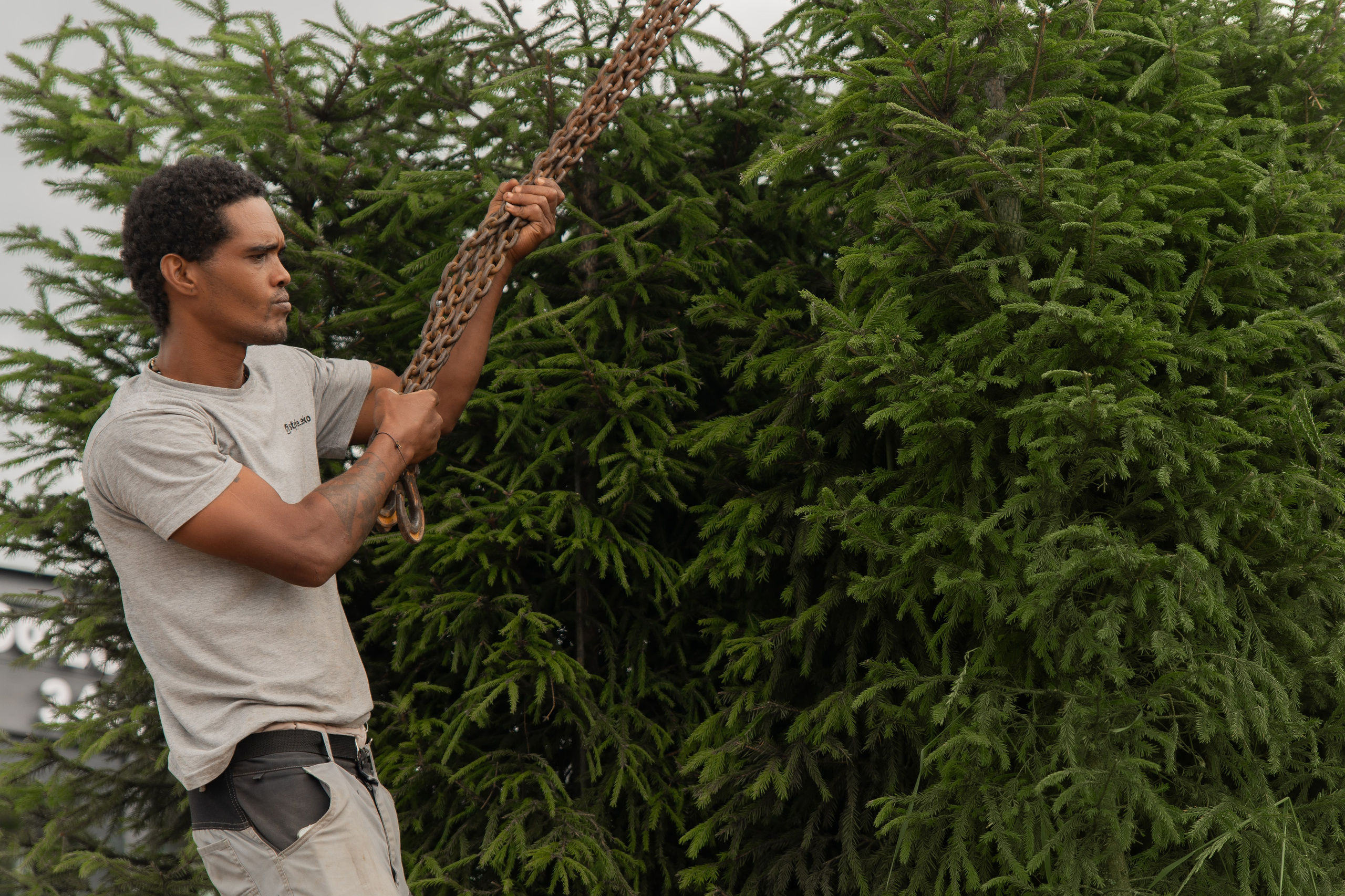 Этап ландшафтных работ. Автомобильный фотограф Светлана Усова